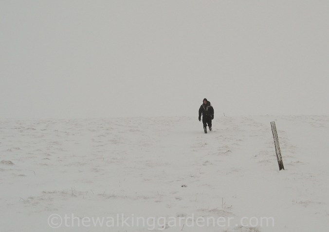 Coast to Coast in snow