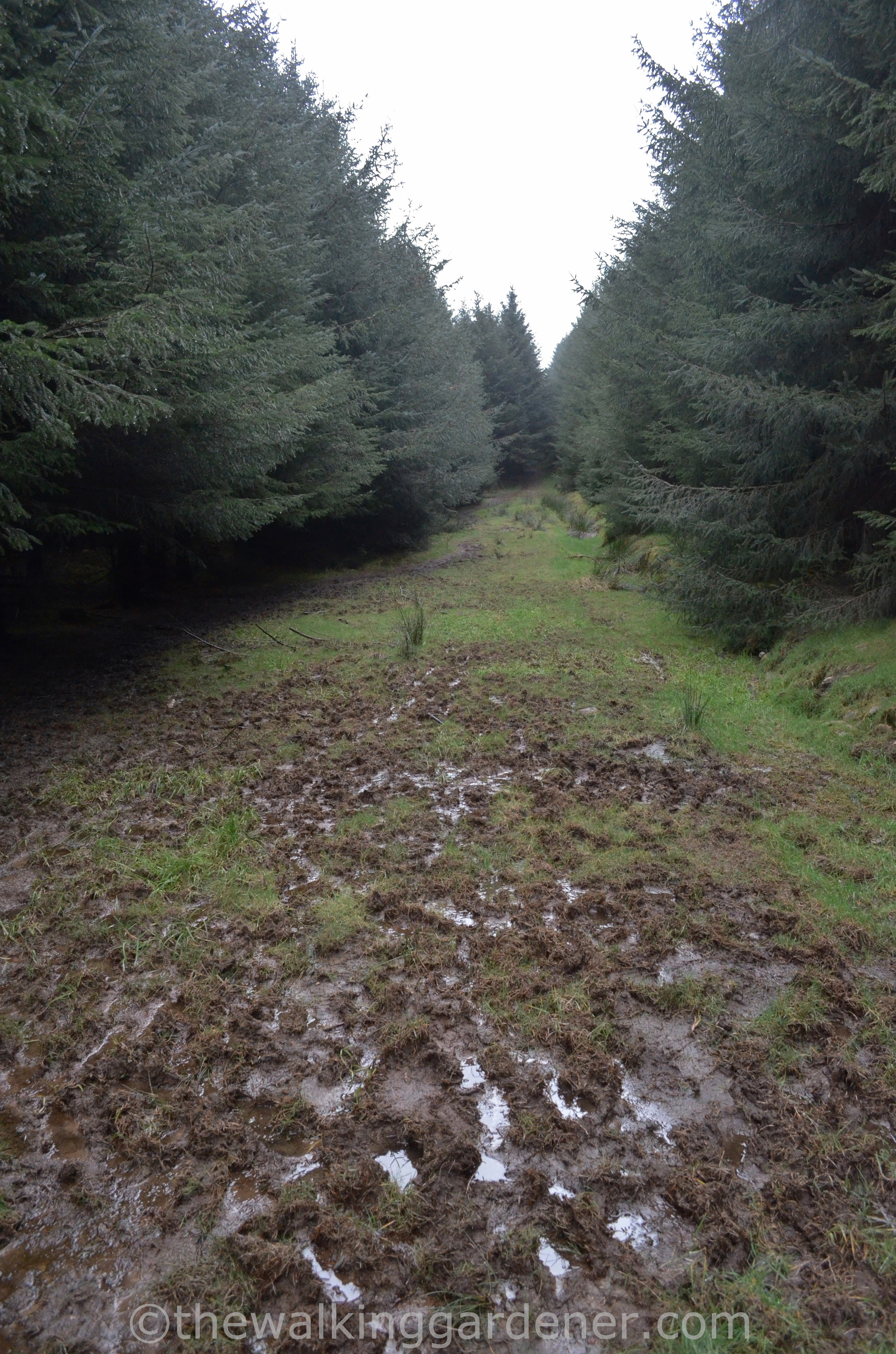 Coast to Coast Day 1 (1)