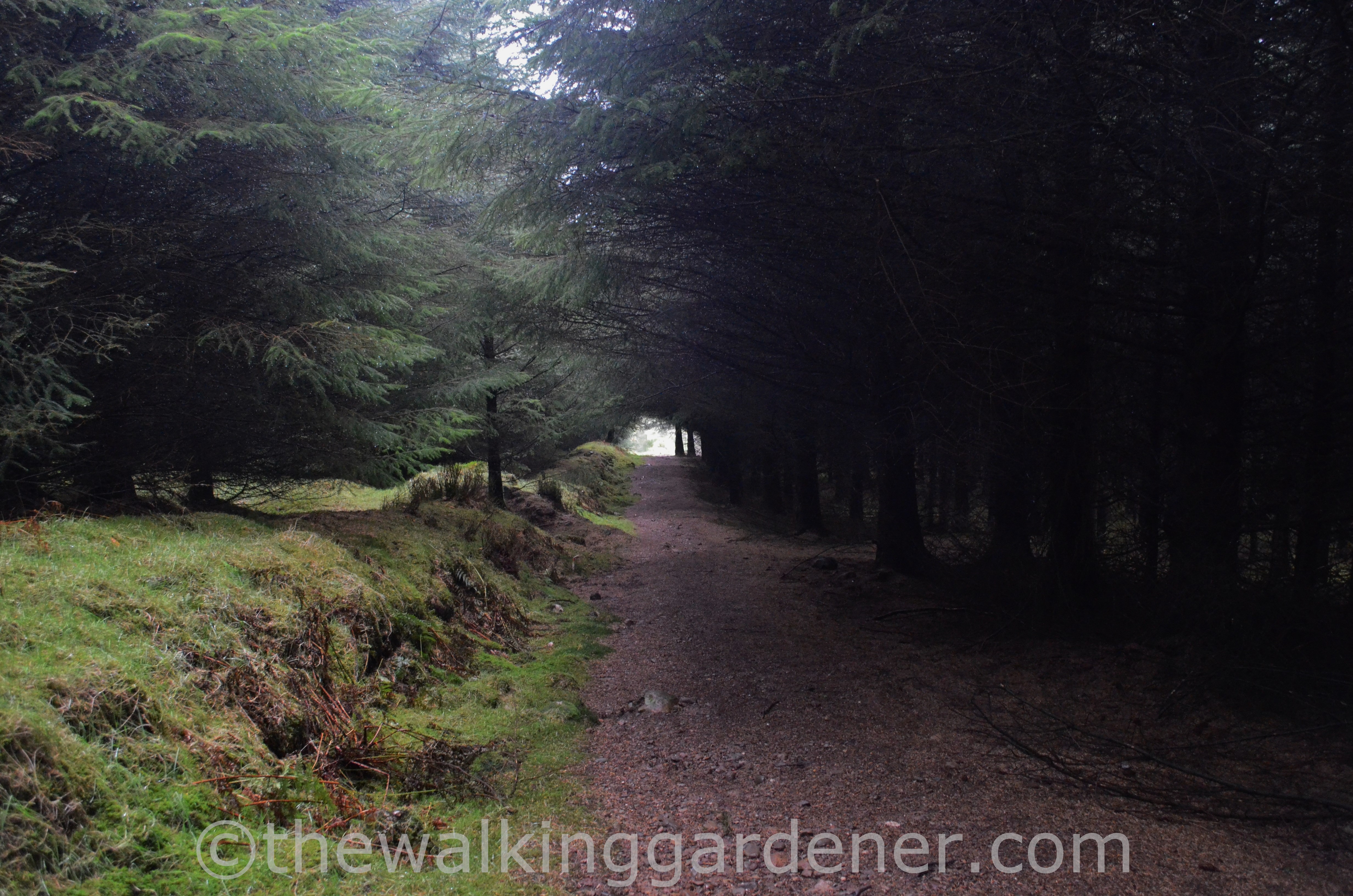 Coast to Coast Day 1 (2)