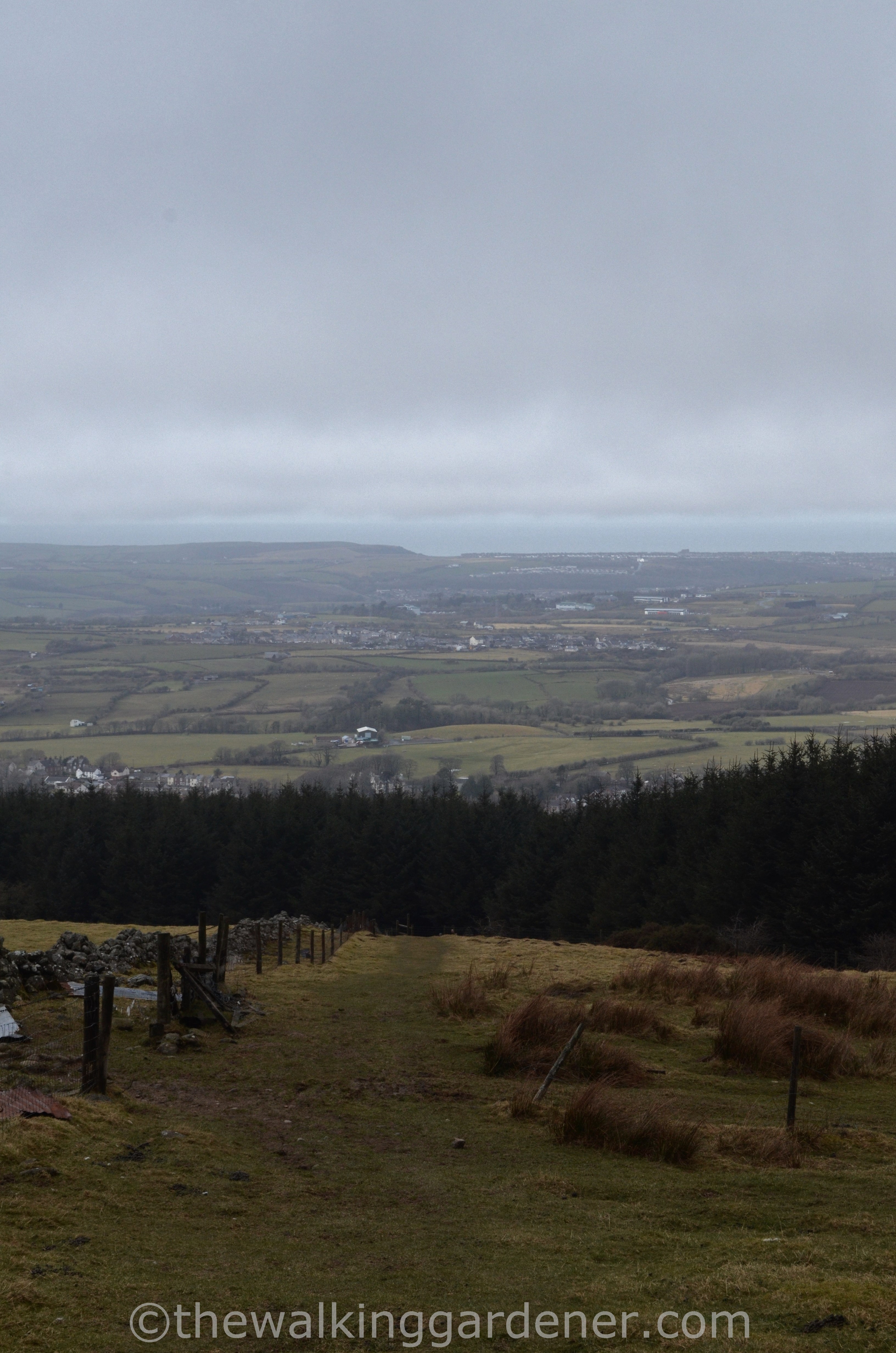 Coast to Coast Day 1 (3)