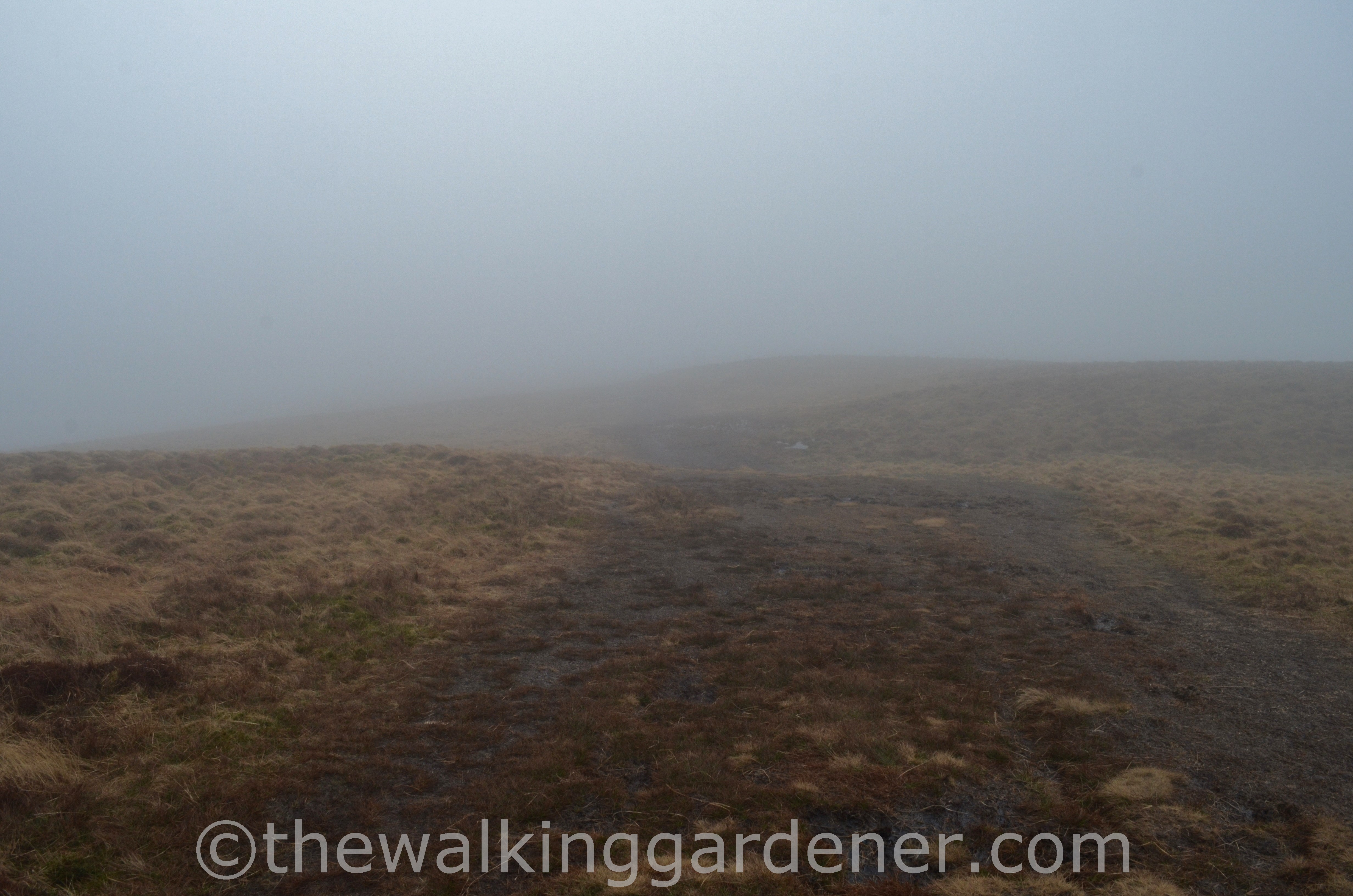 Coast to Coast Day 1 (4)