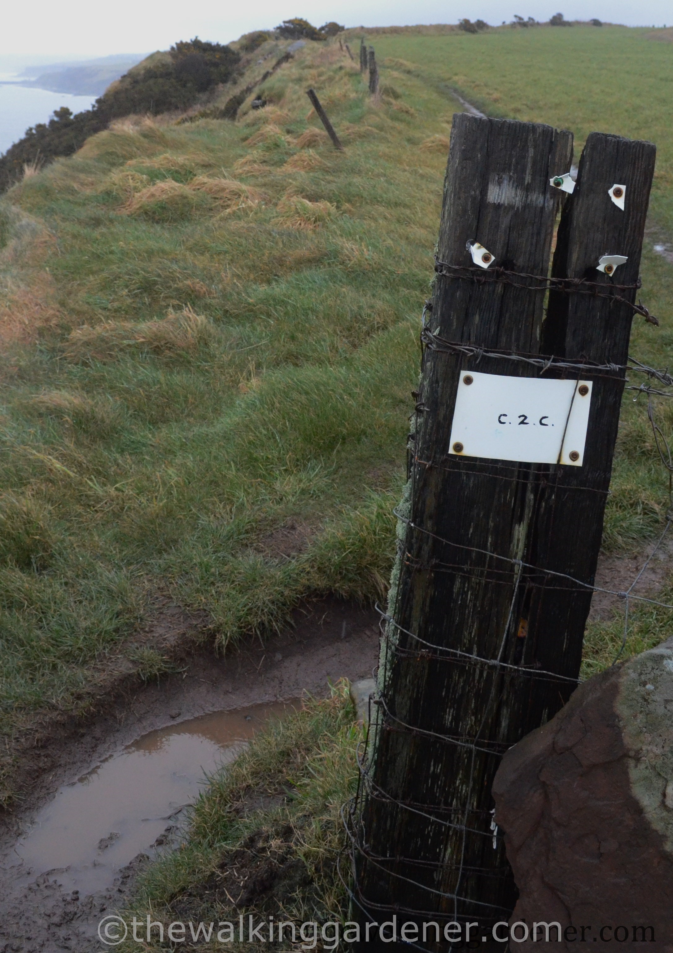 Coast to Coast Route Marker (9)