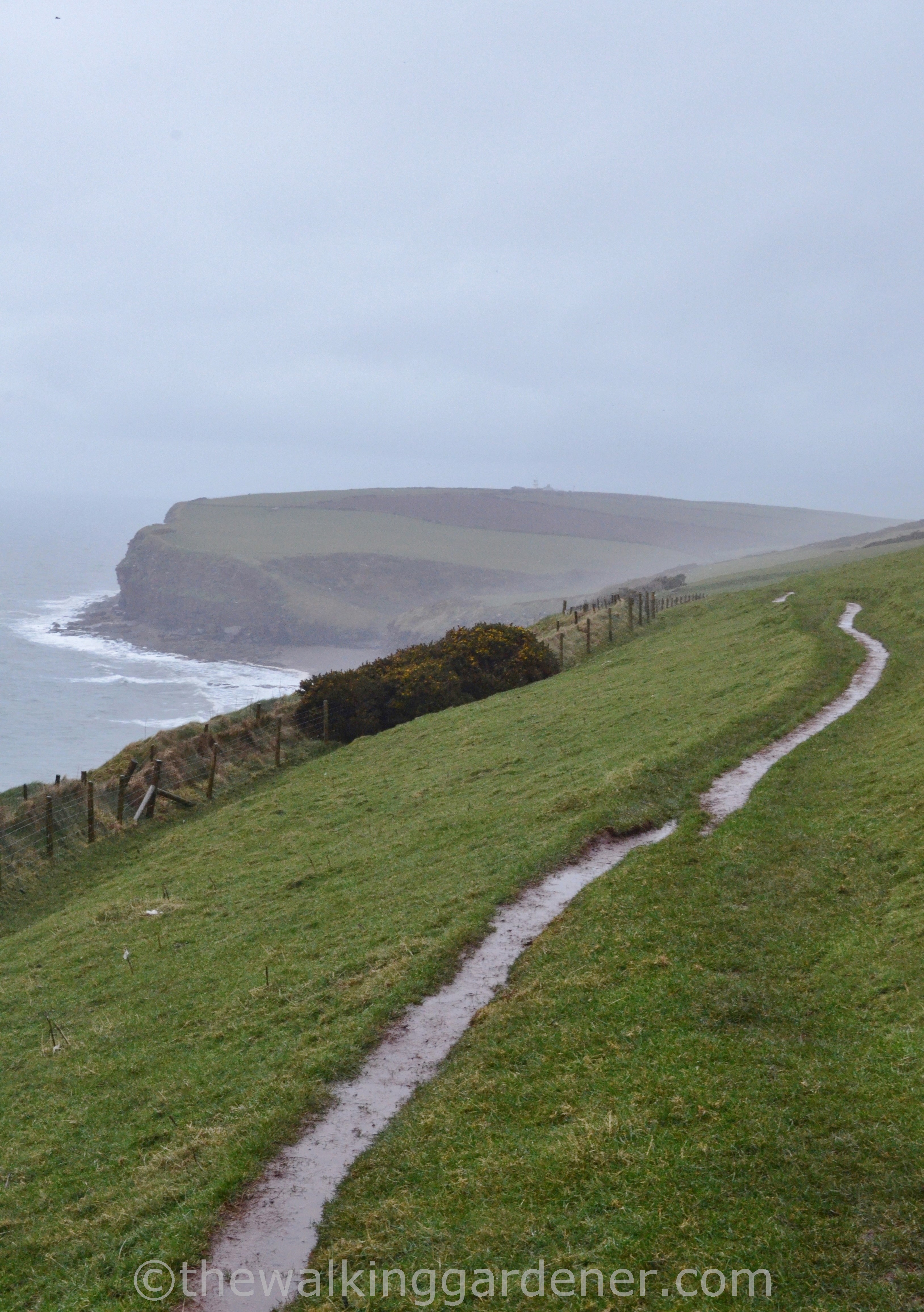 Coast to Coast St Bees Head
