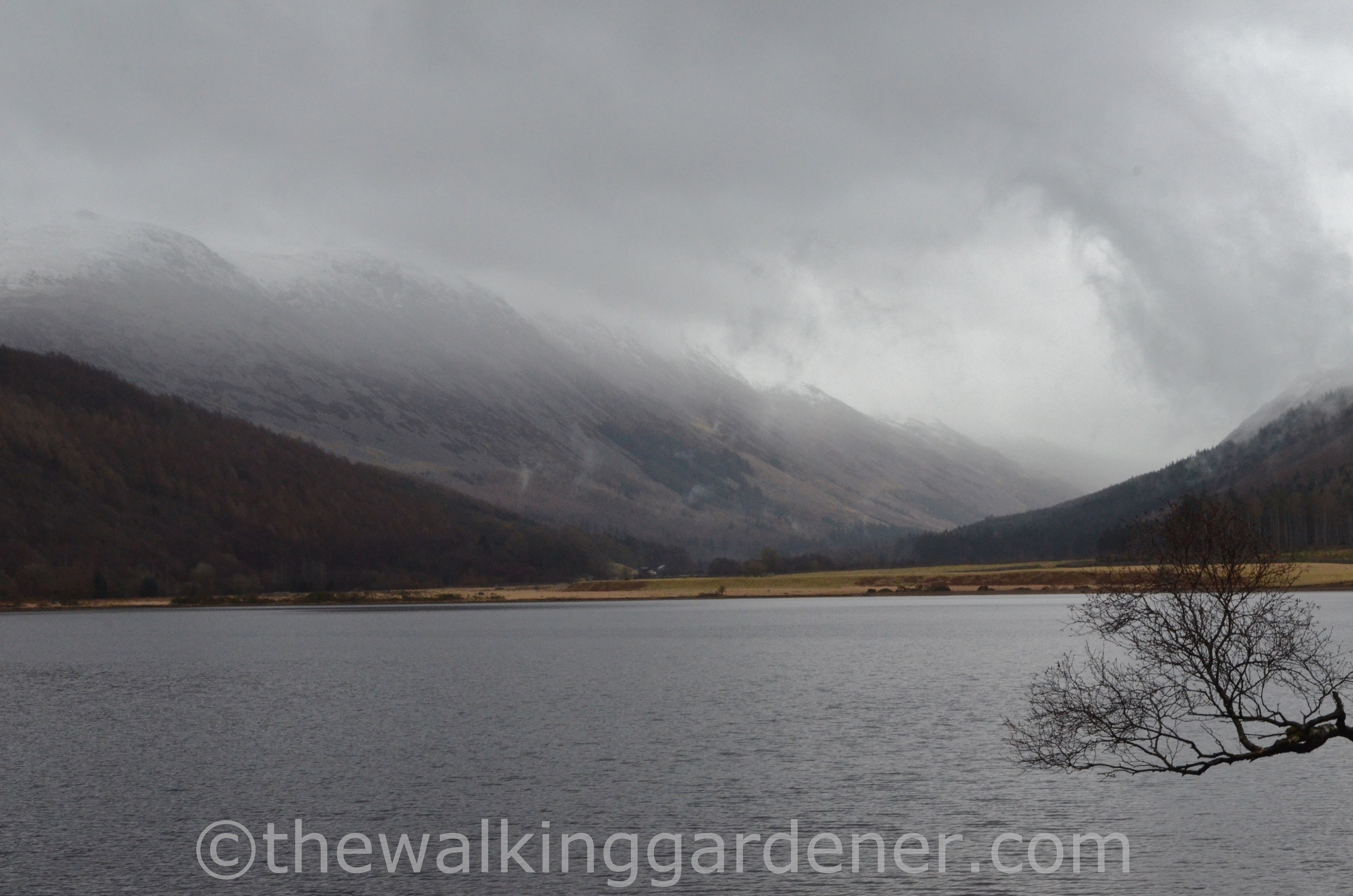 Ennerdale Water (4)