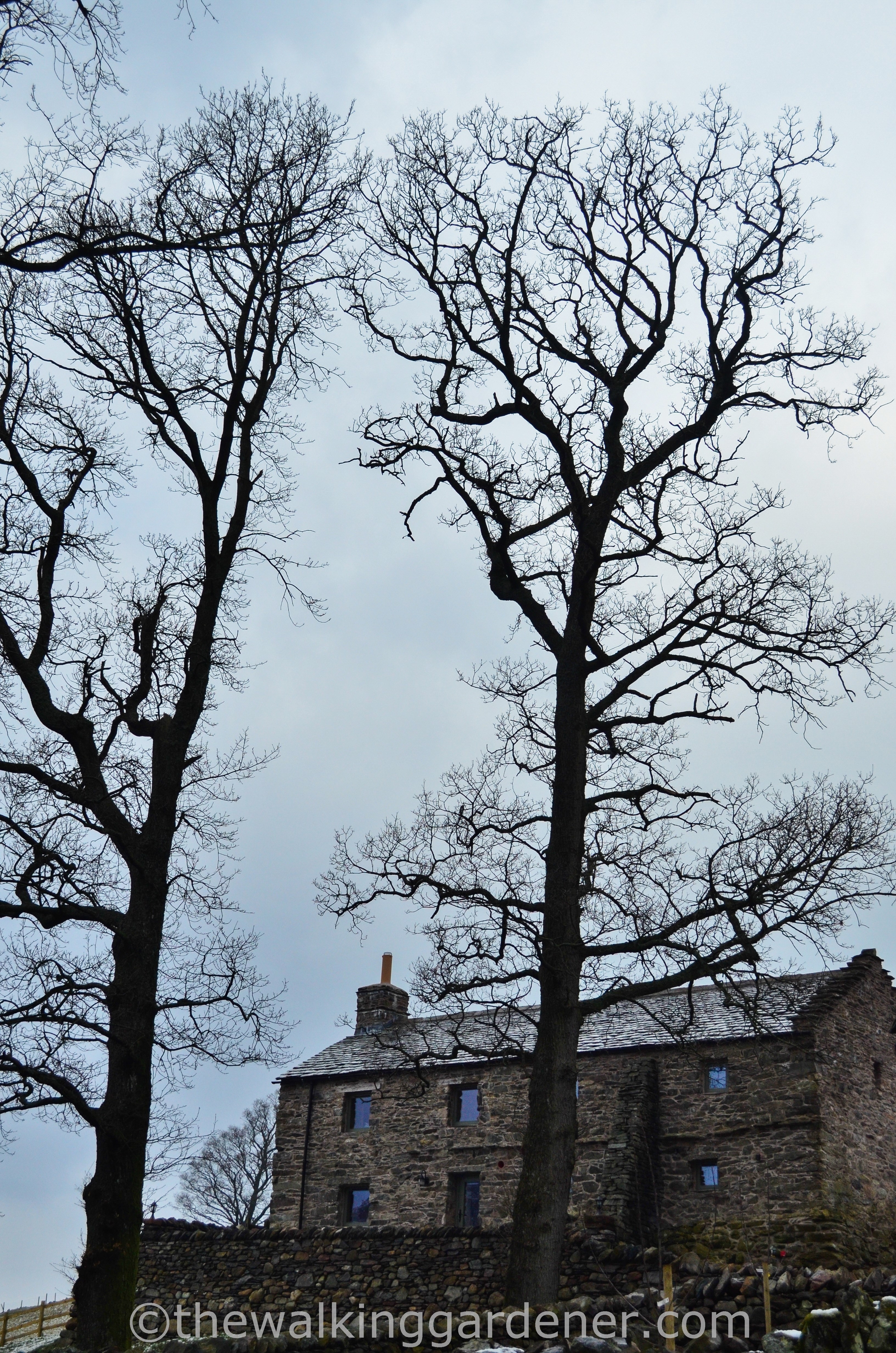 Coast to Coast Day 4 (1)