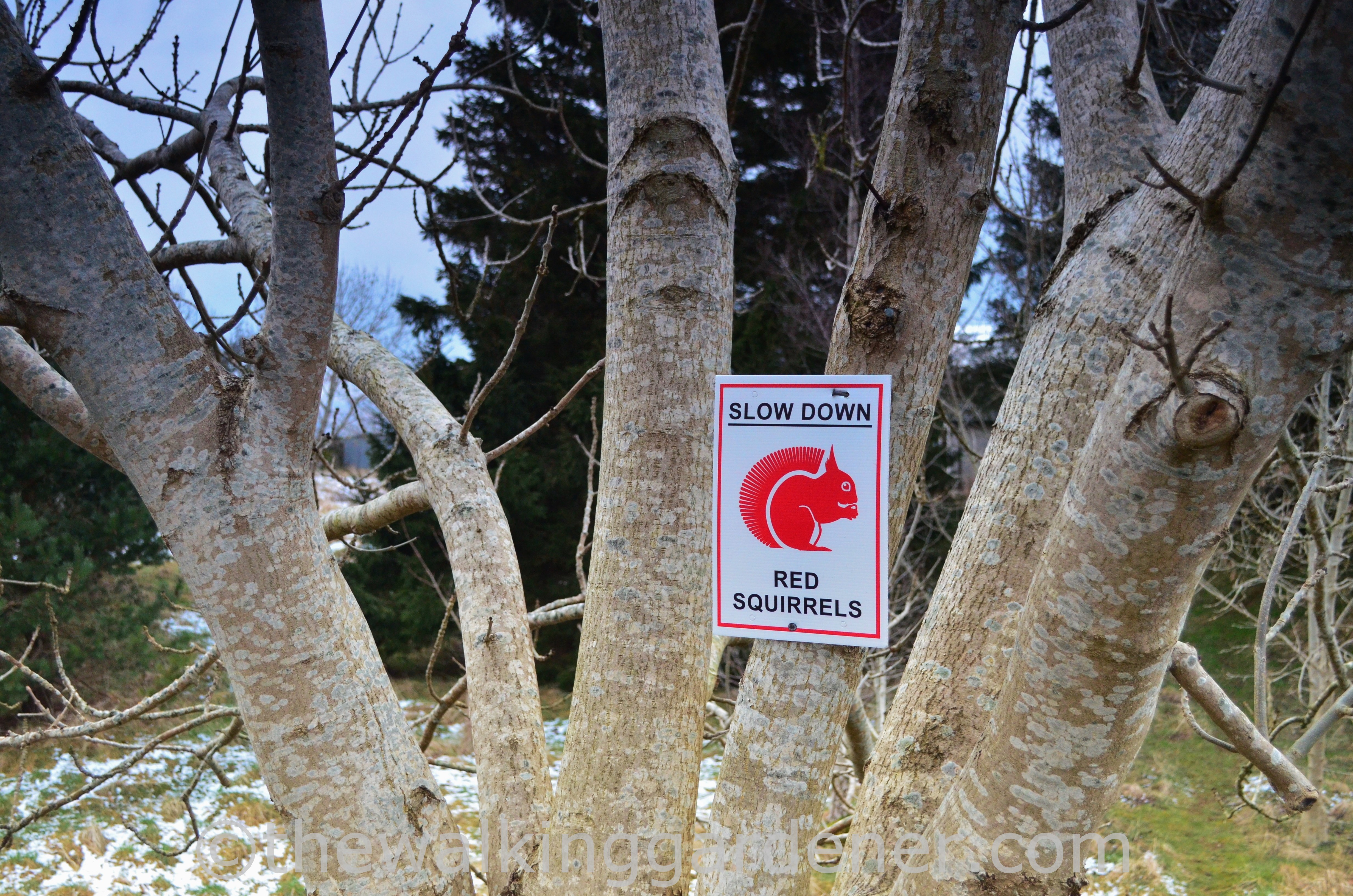 Coast to Coast Day 4 (10)