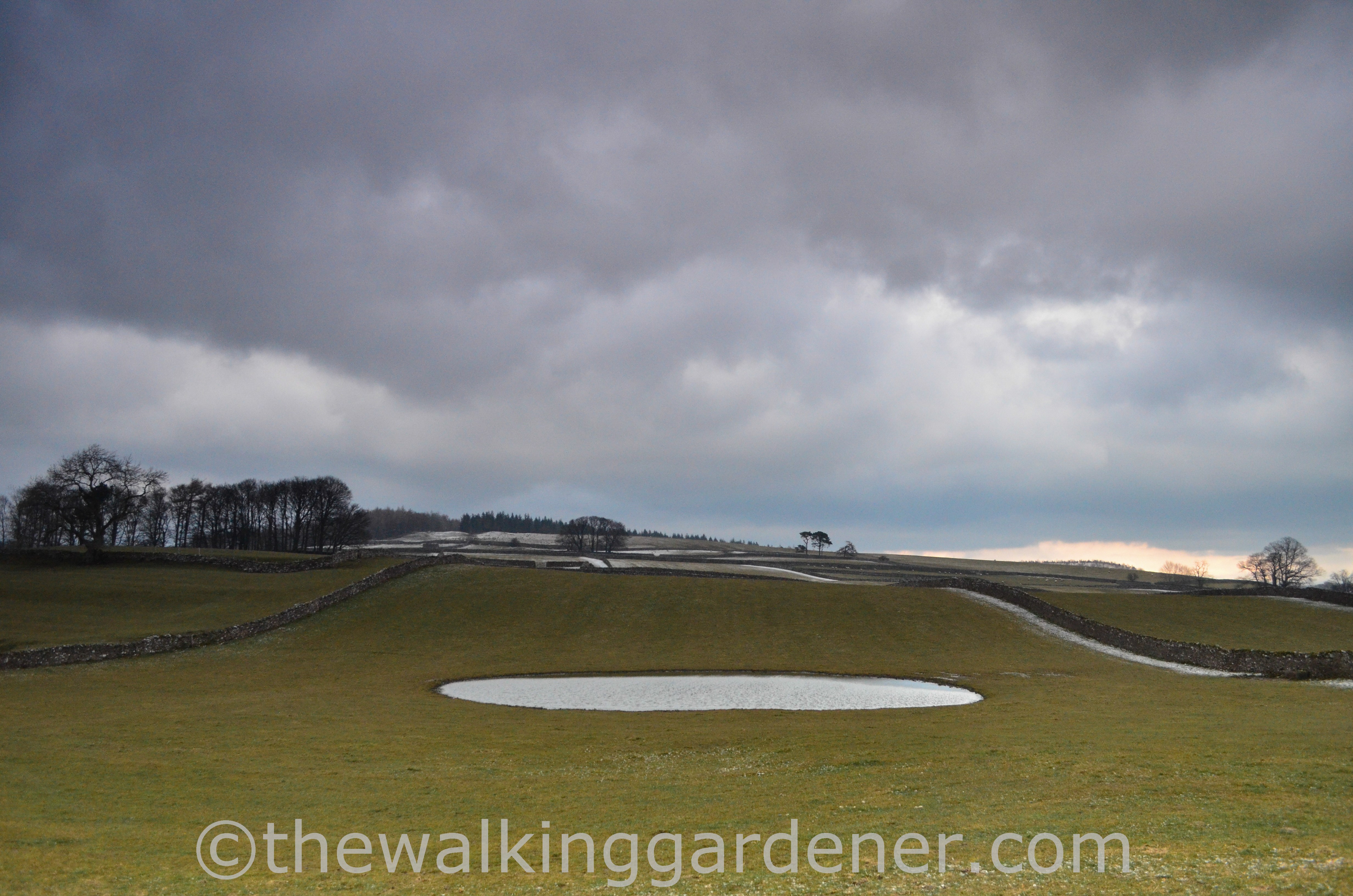 Coast to Coast Day 4 (13)