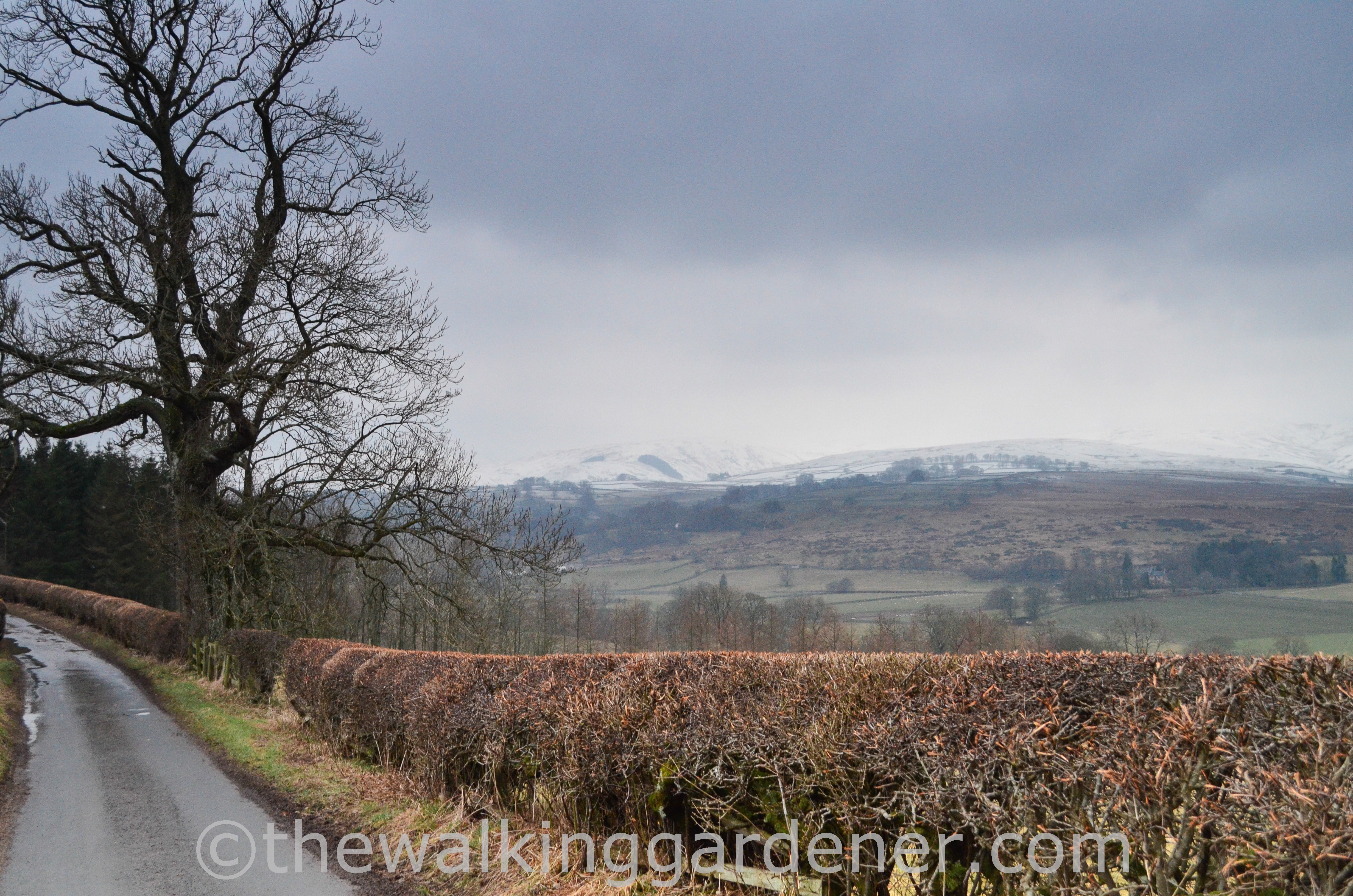 Coast to Coast Day 4 (3)