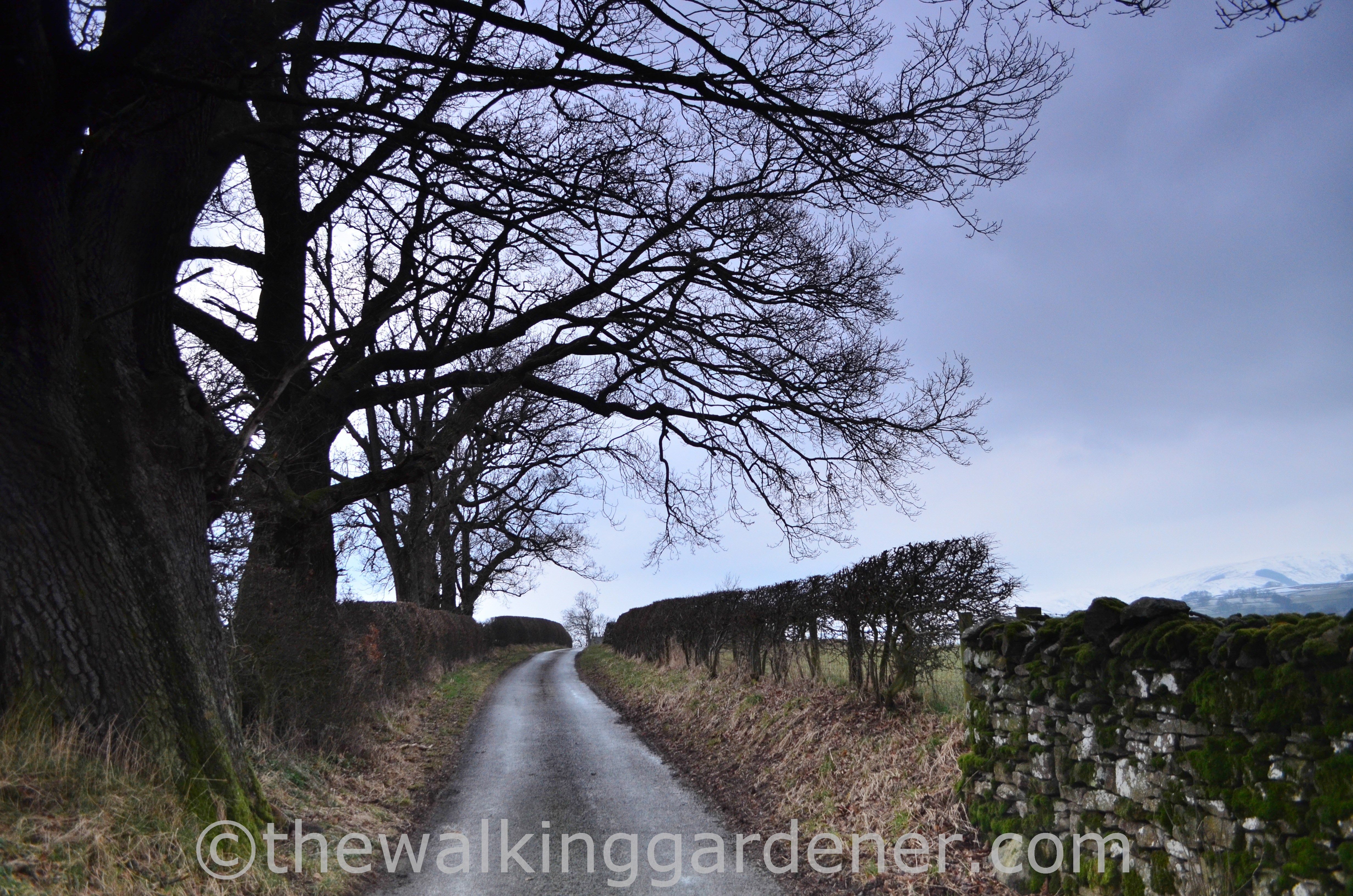 Coast to Coast Day 4 (6)