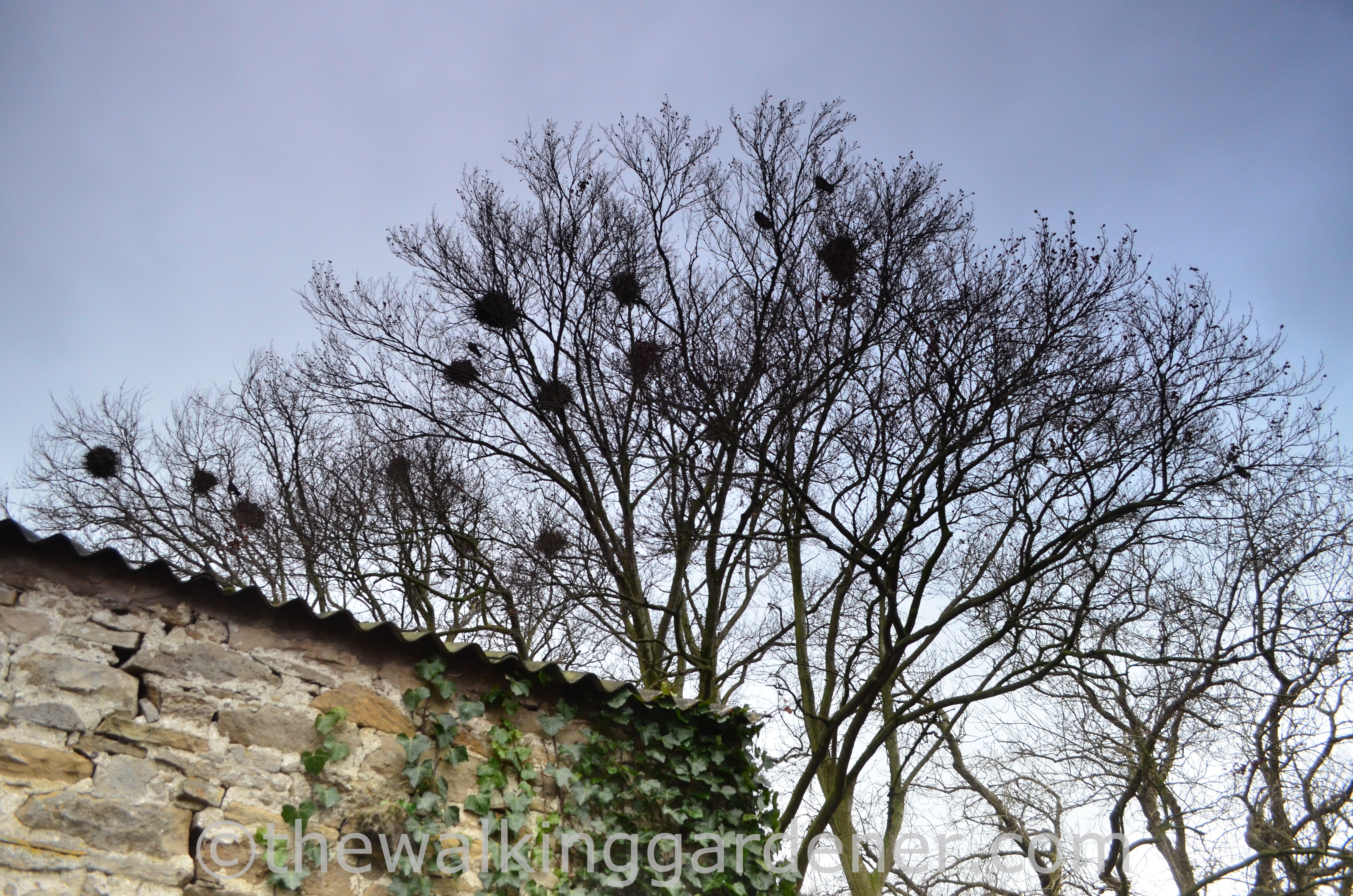 Coast to Coast Day 4 (9)