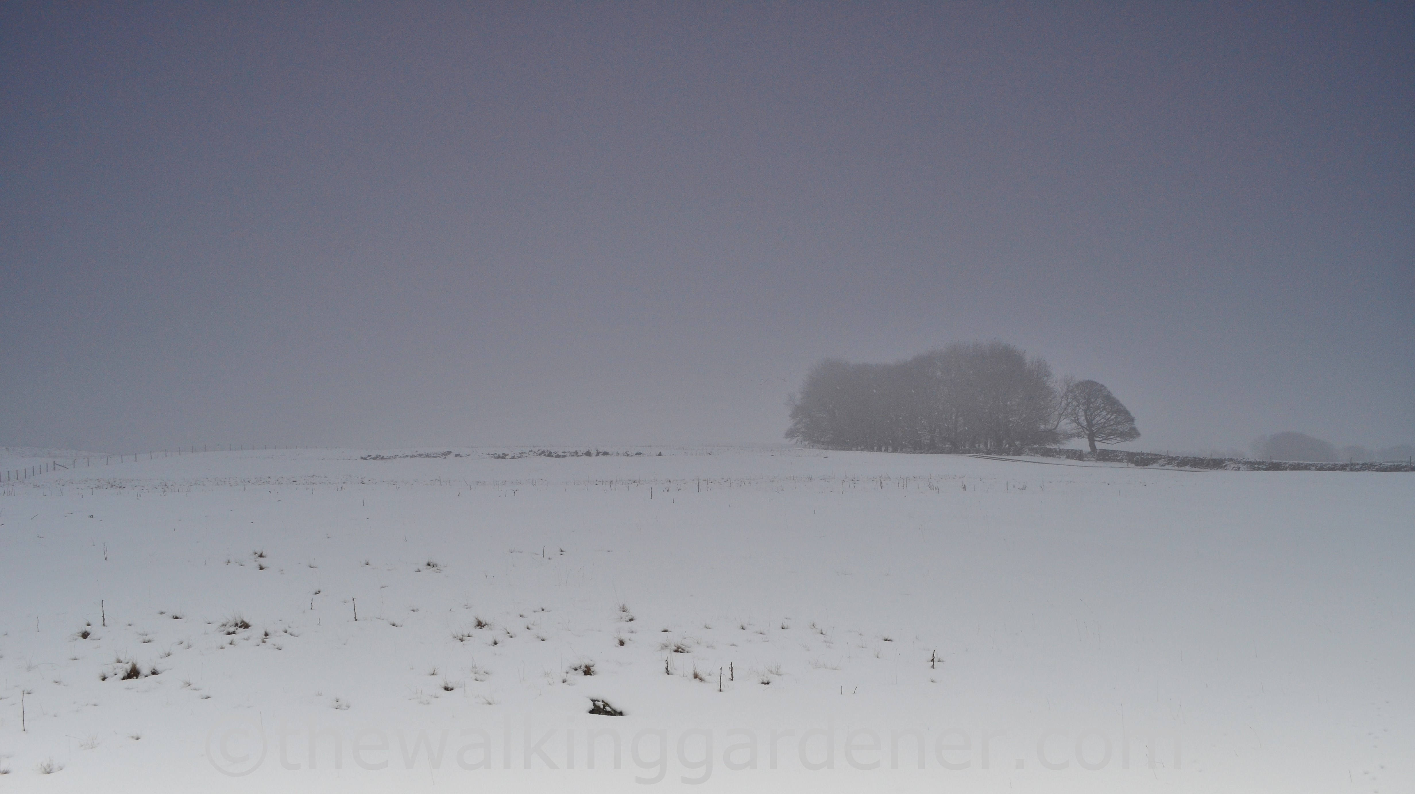 Coast to Coast Shap to Kirkby Stephen (2)