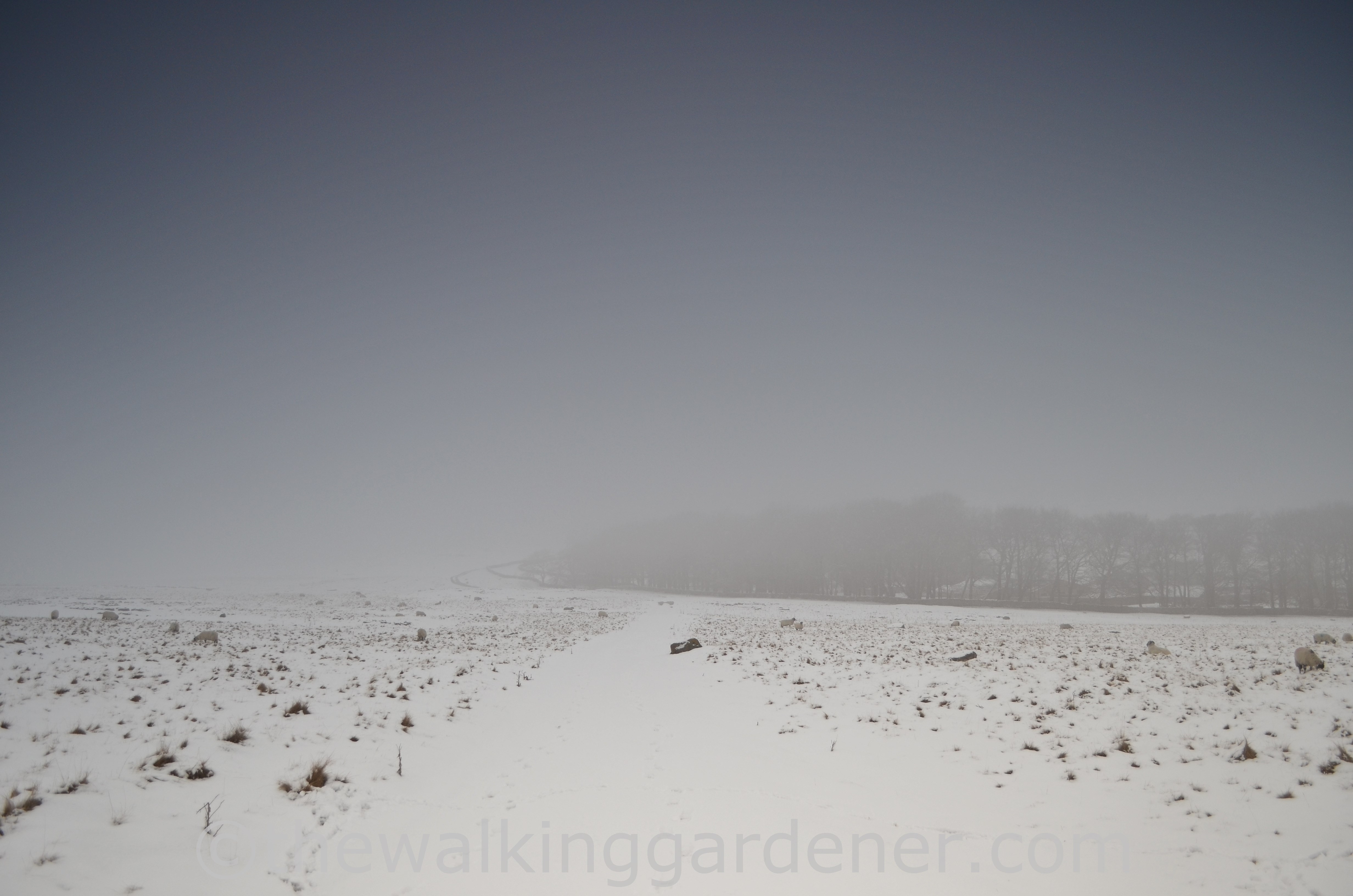 Coast to Coast Shap to Kirkby Stephen (21)