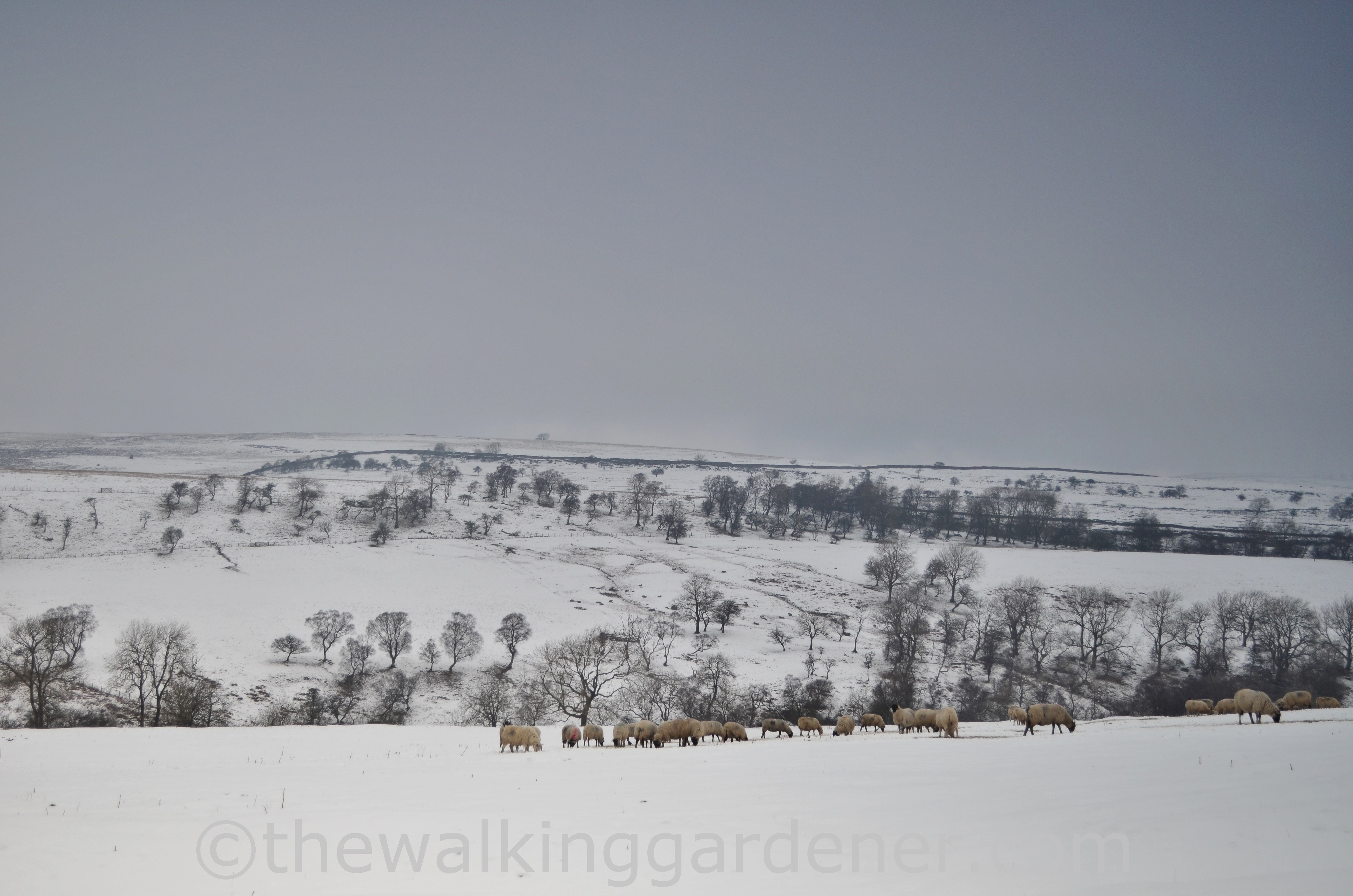 Coast to Coast Shap to Kirkby Stephen (8)