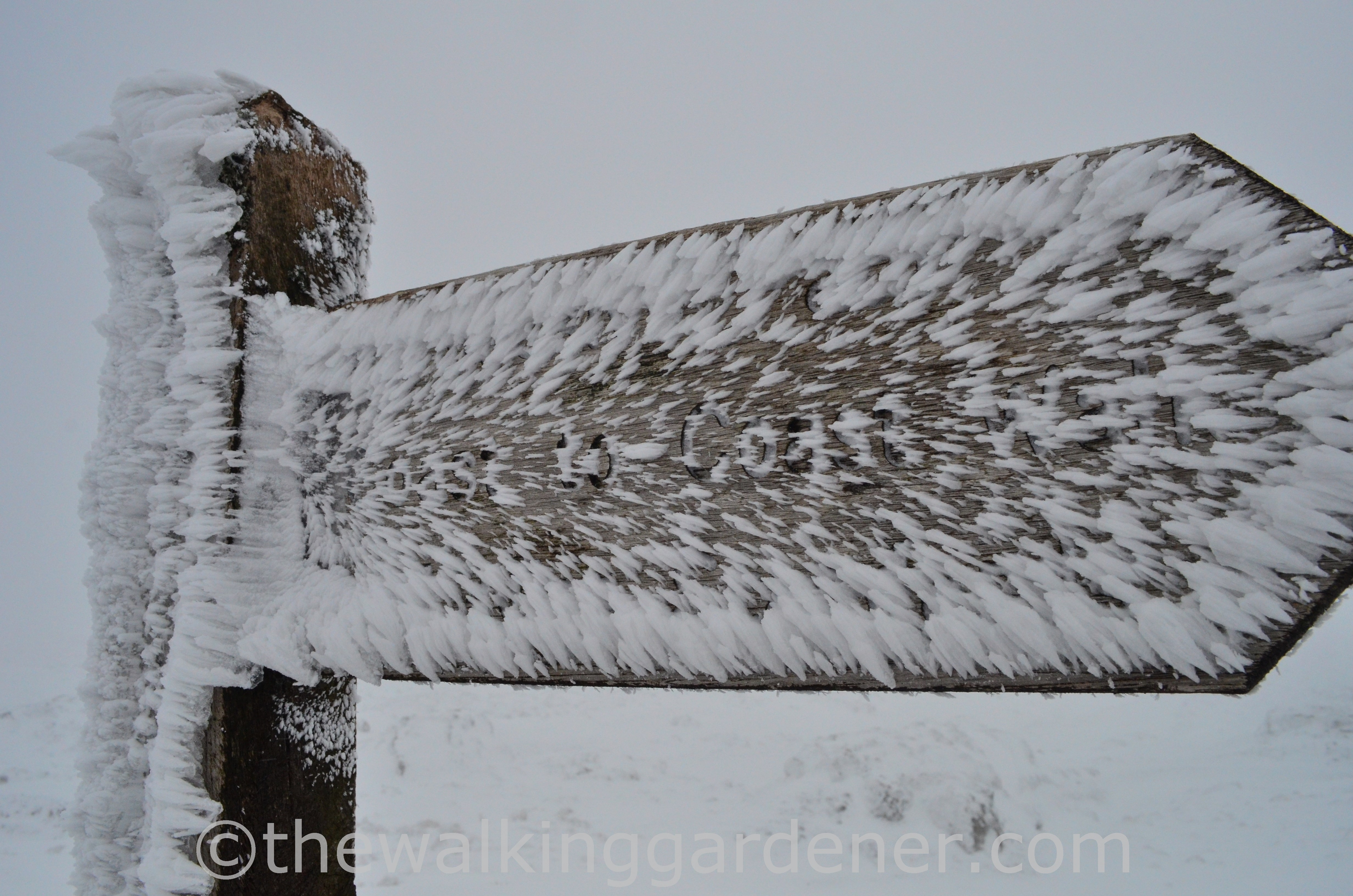 Coast to Coast in winter
