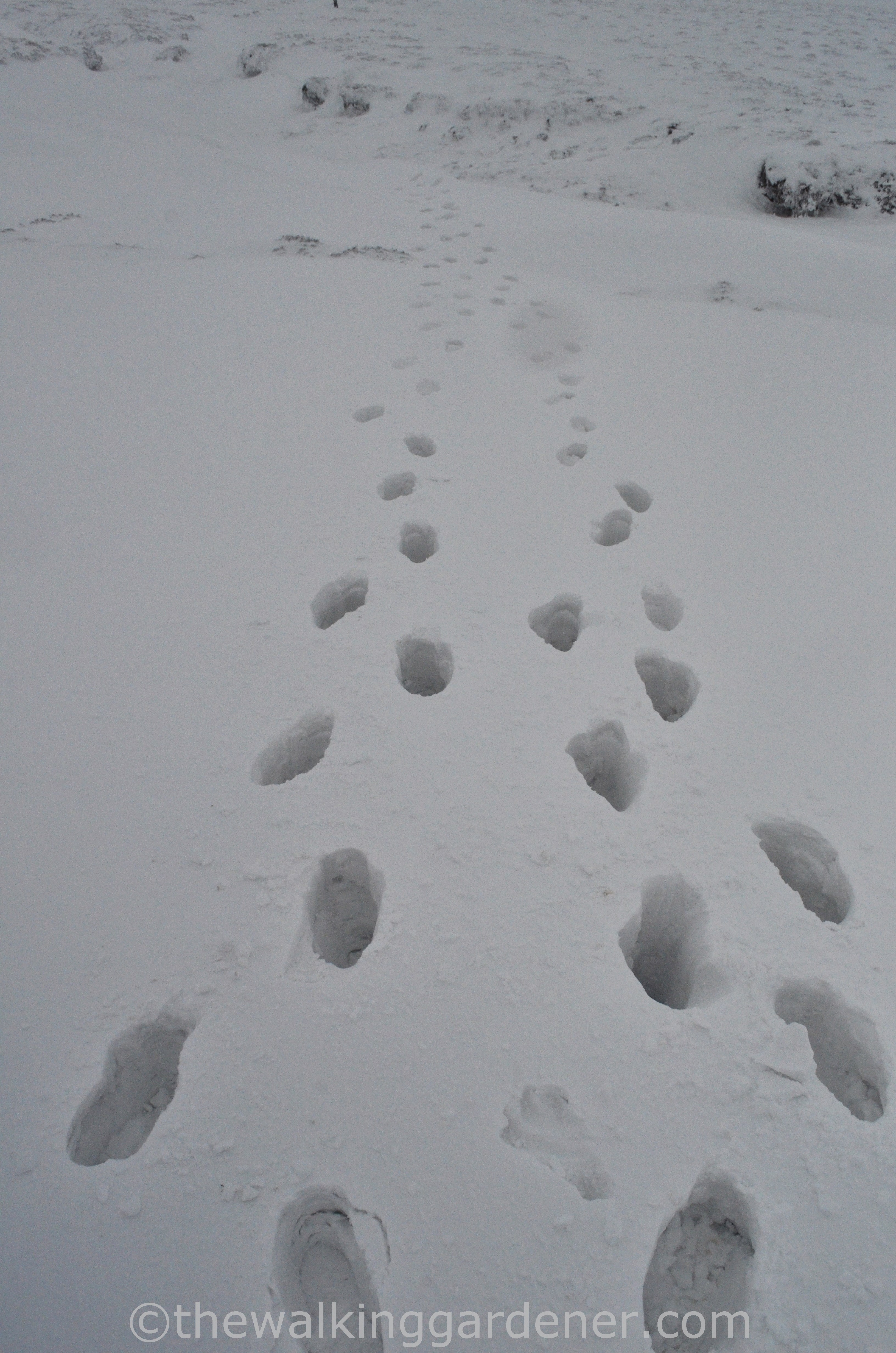 Coast to Coast Kirkby Stephen to Keld (8)