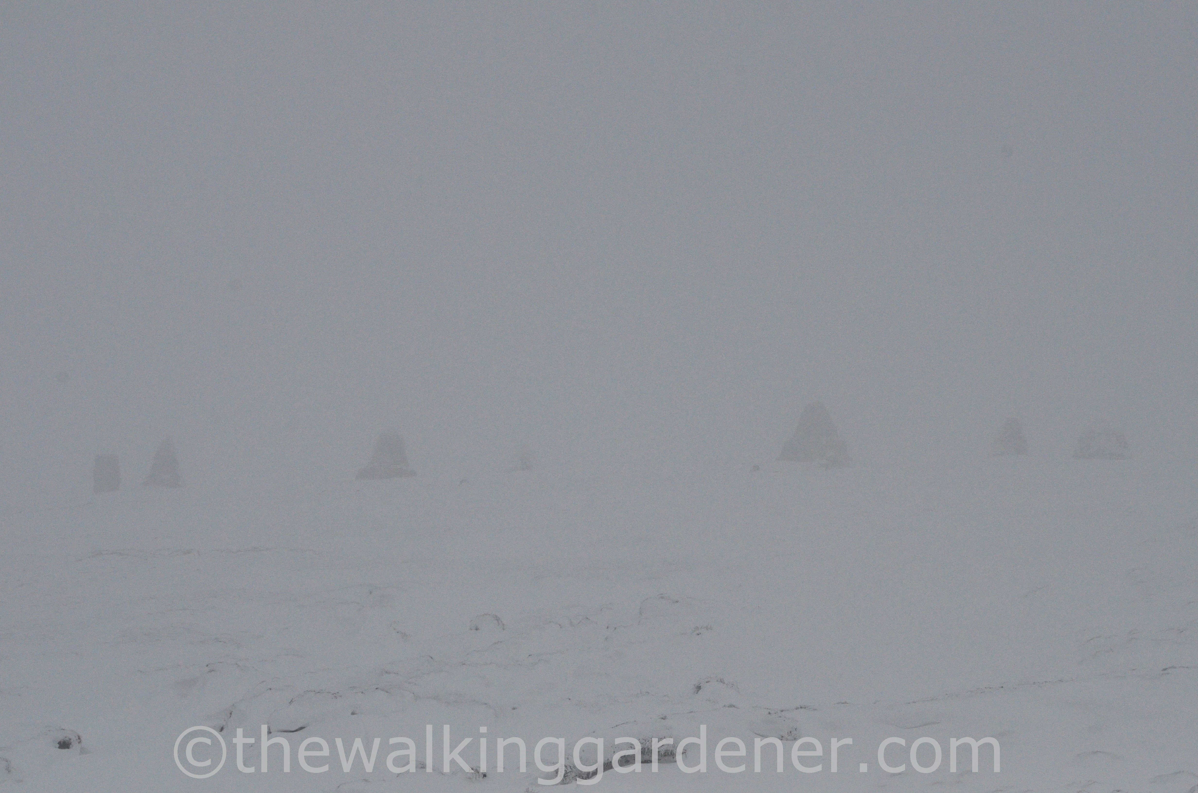 Nine Standards Rigg (1)