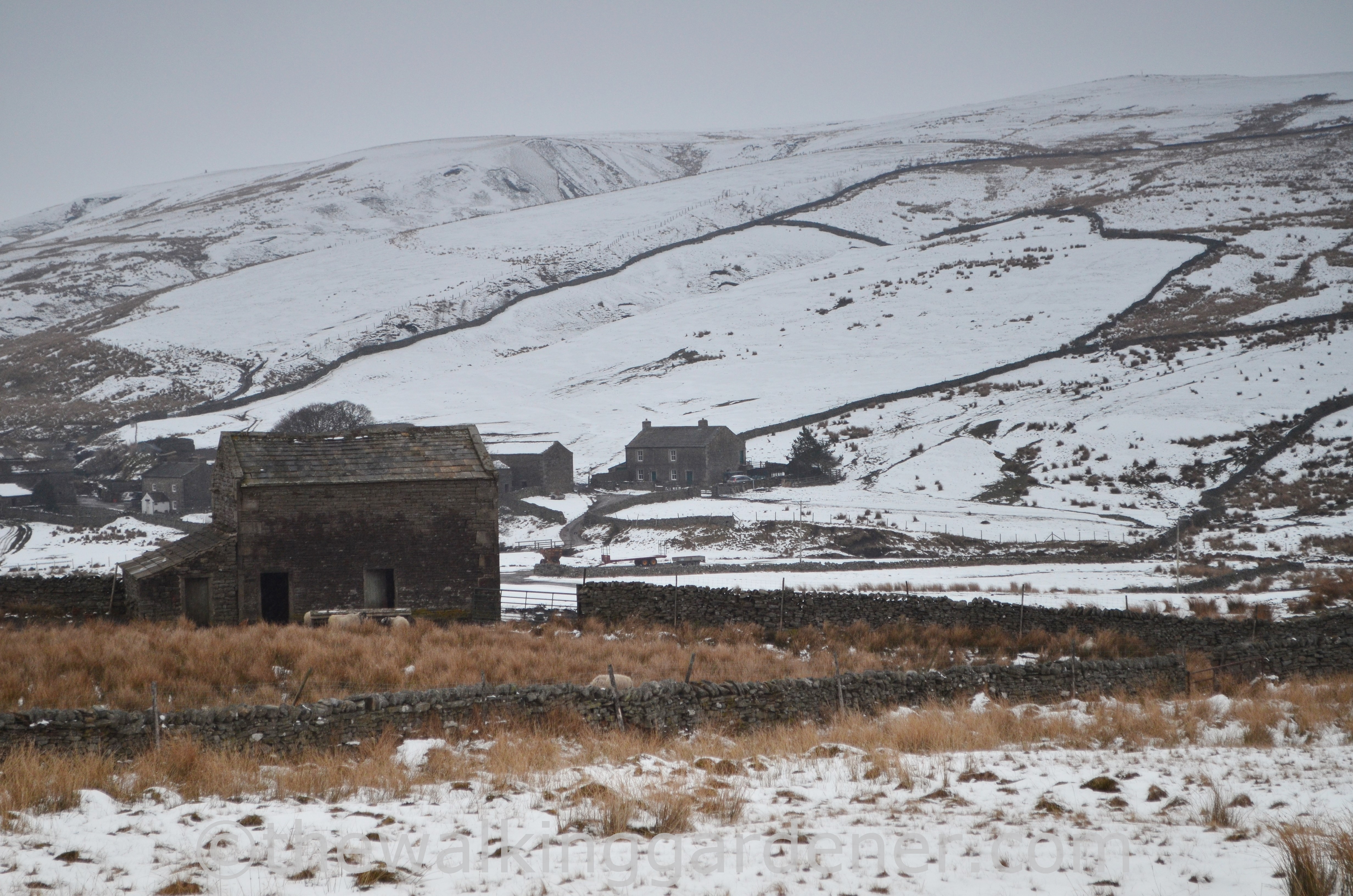 Ravenseat Farm tea garden