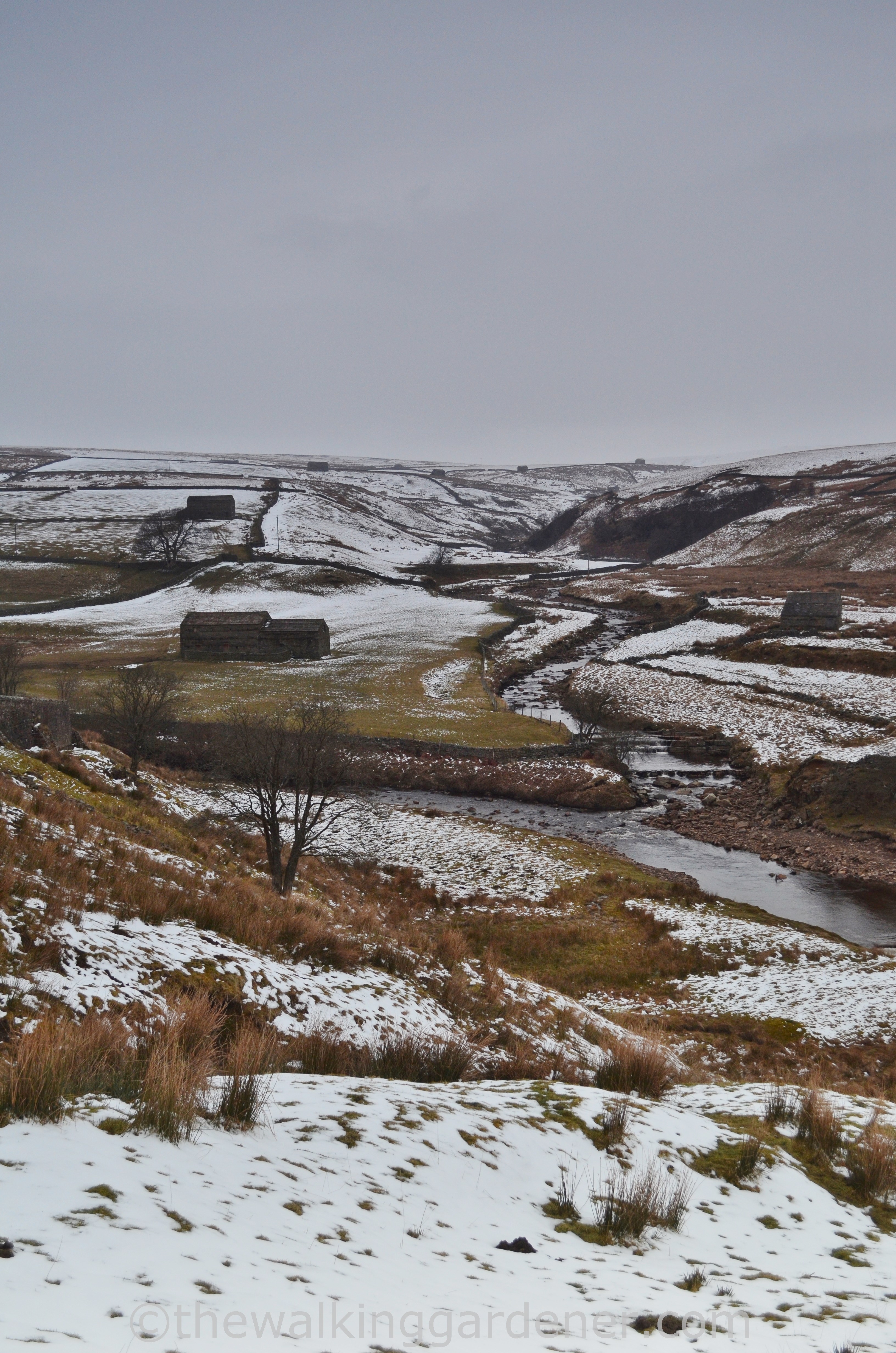 Upper Swaledale