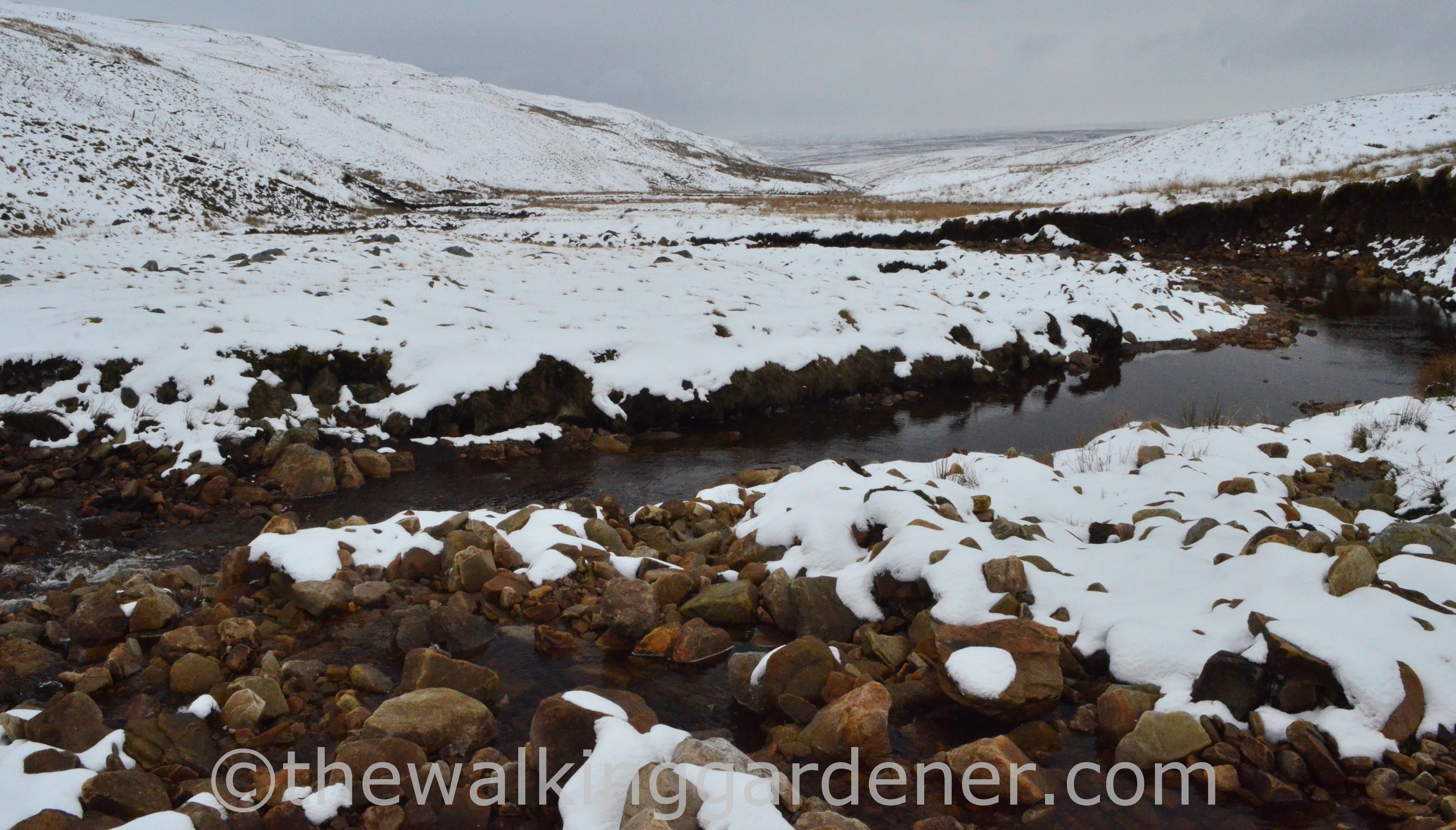 Whitsundale Coast to Coast (1)