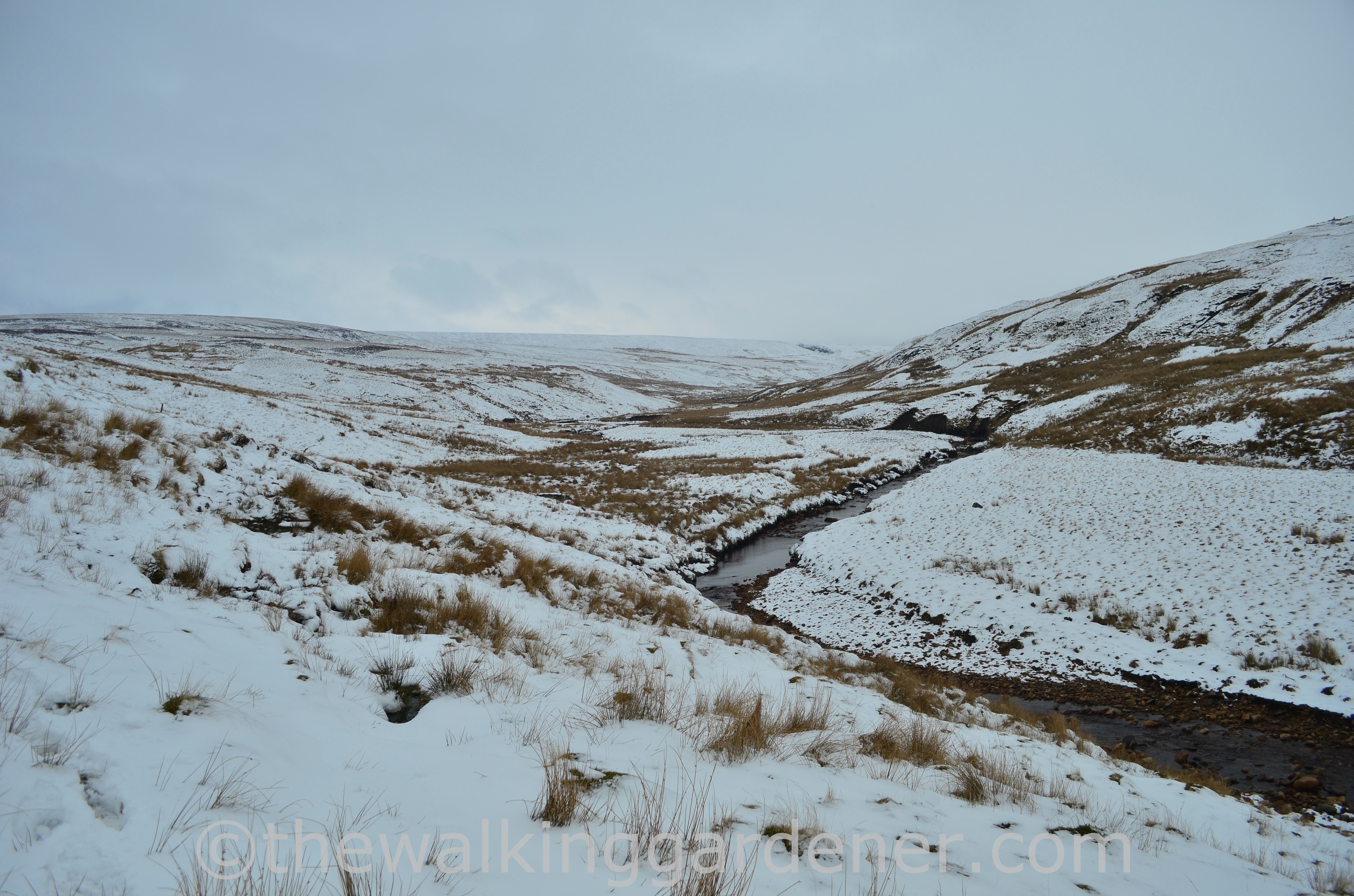 Whitsundale Coast to Coast (3)