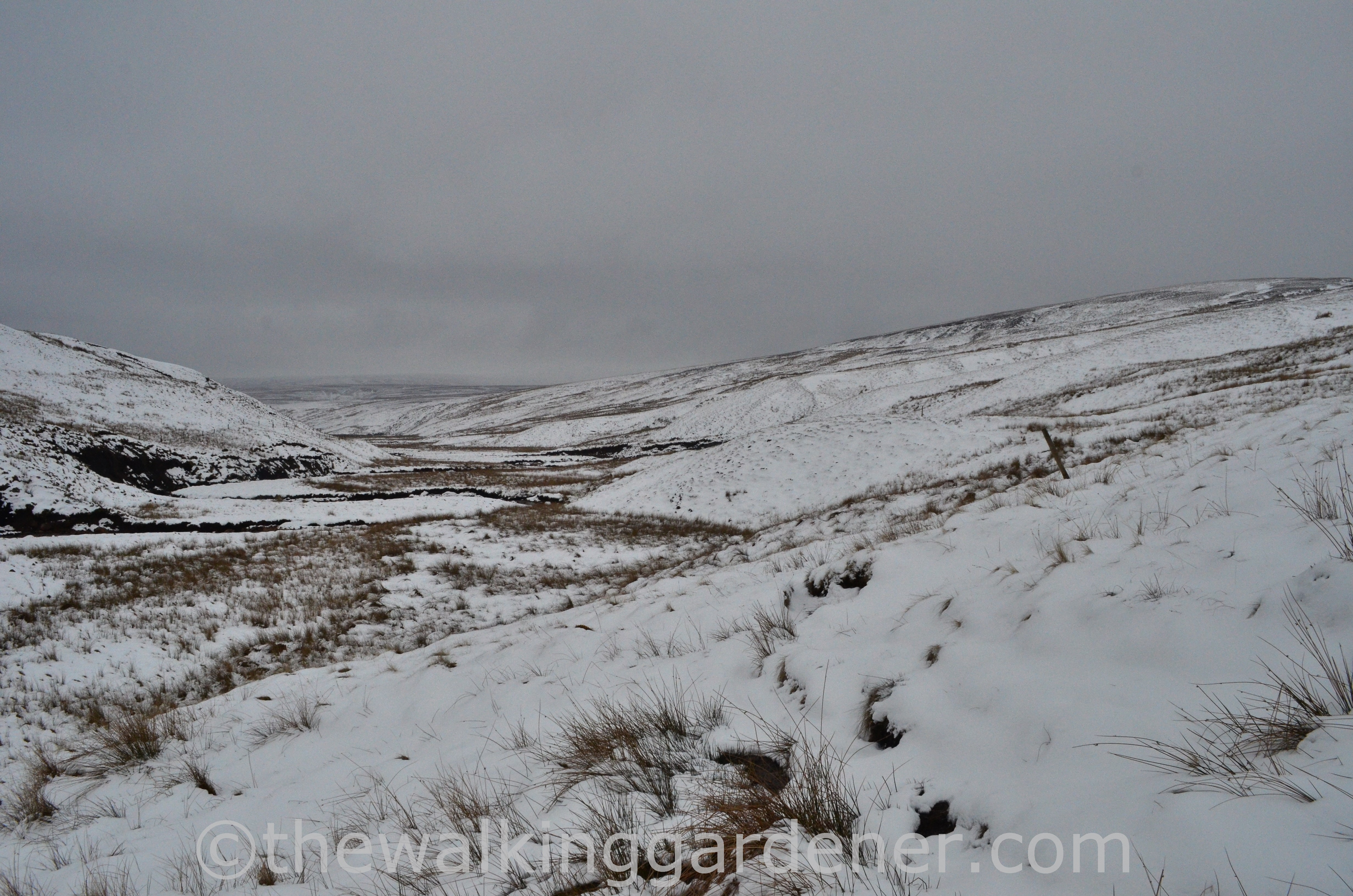 Whitsundale Coast to Coast