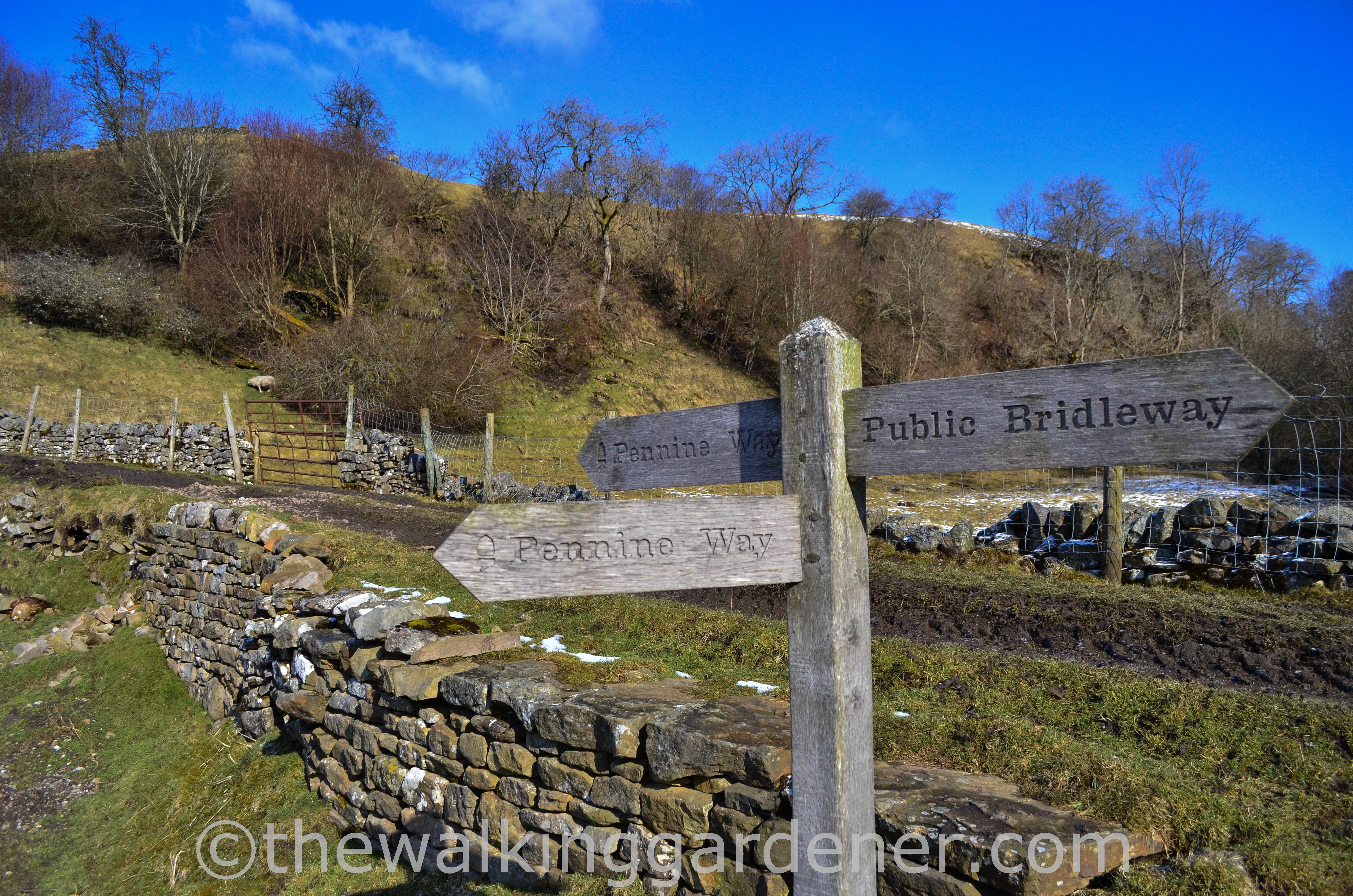 Coast to Coast Keld to Reeth (1)