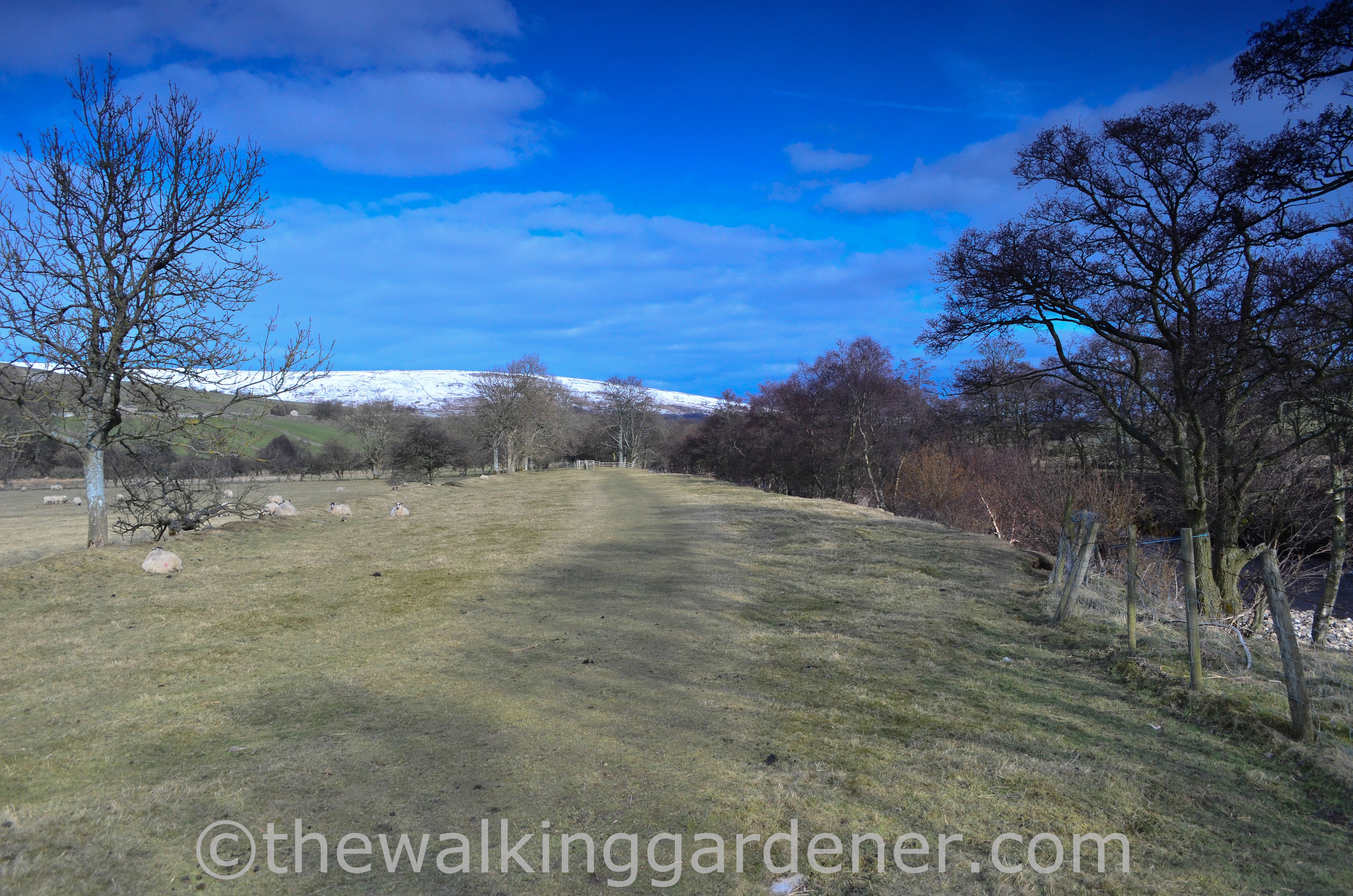 Coast to Coast Keld to Reeth (10)