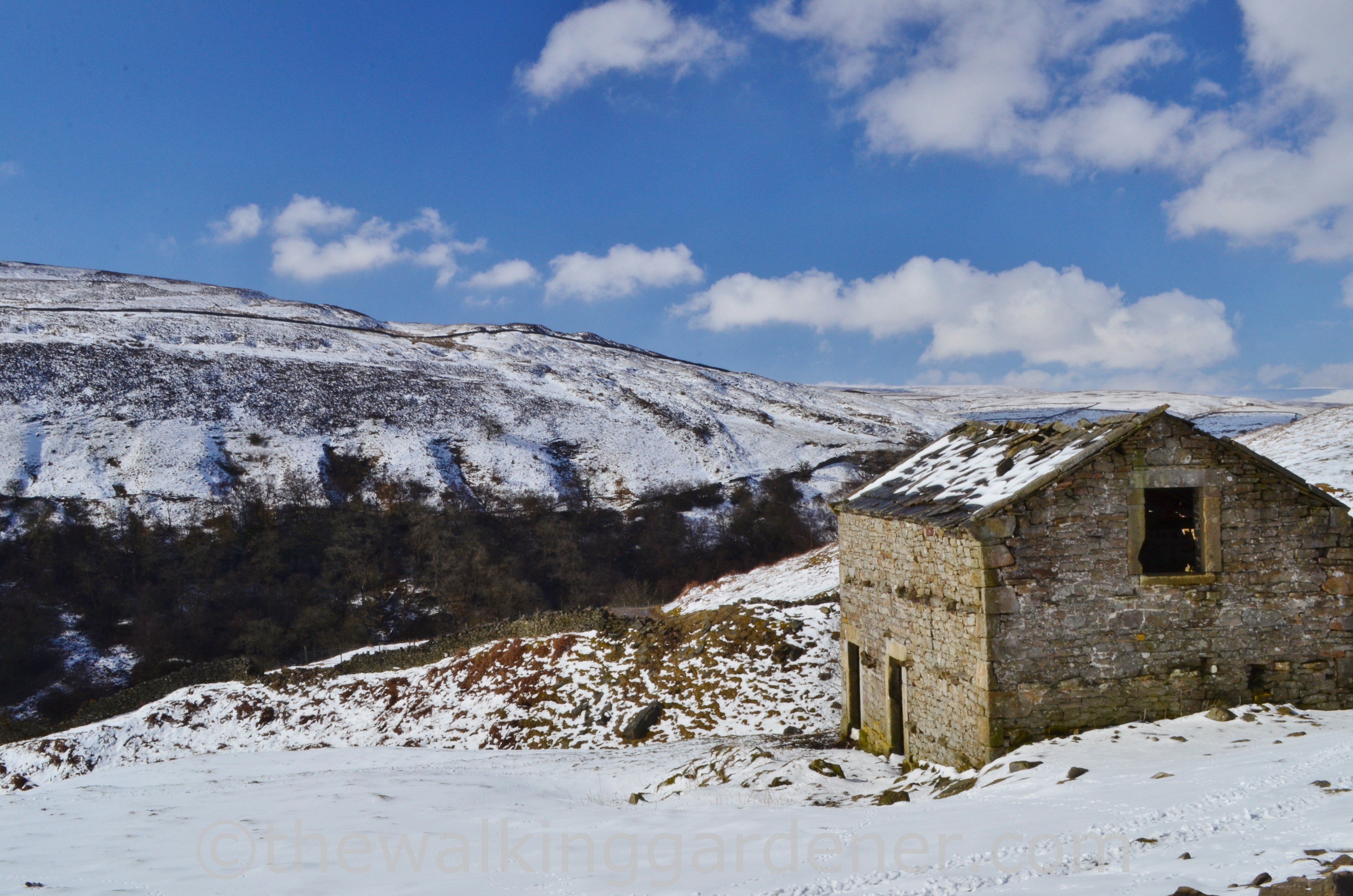 Coast to Coast Keld to Reeth (2)