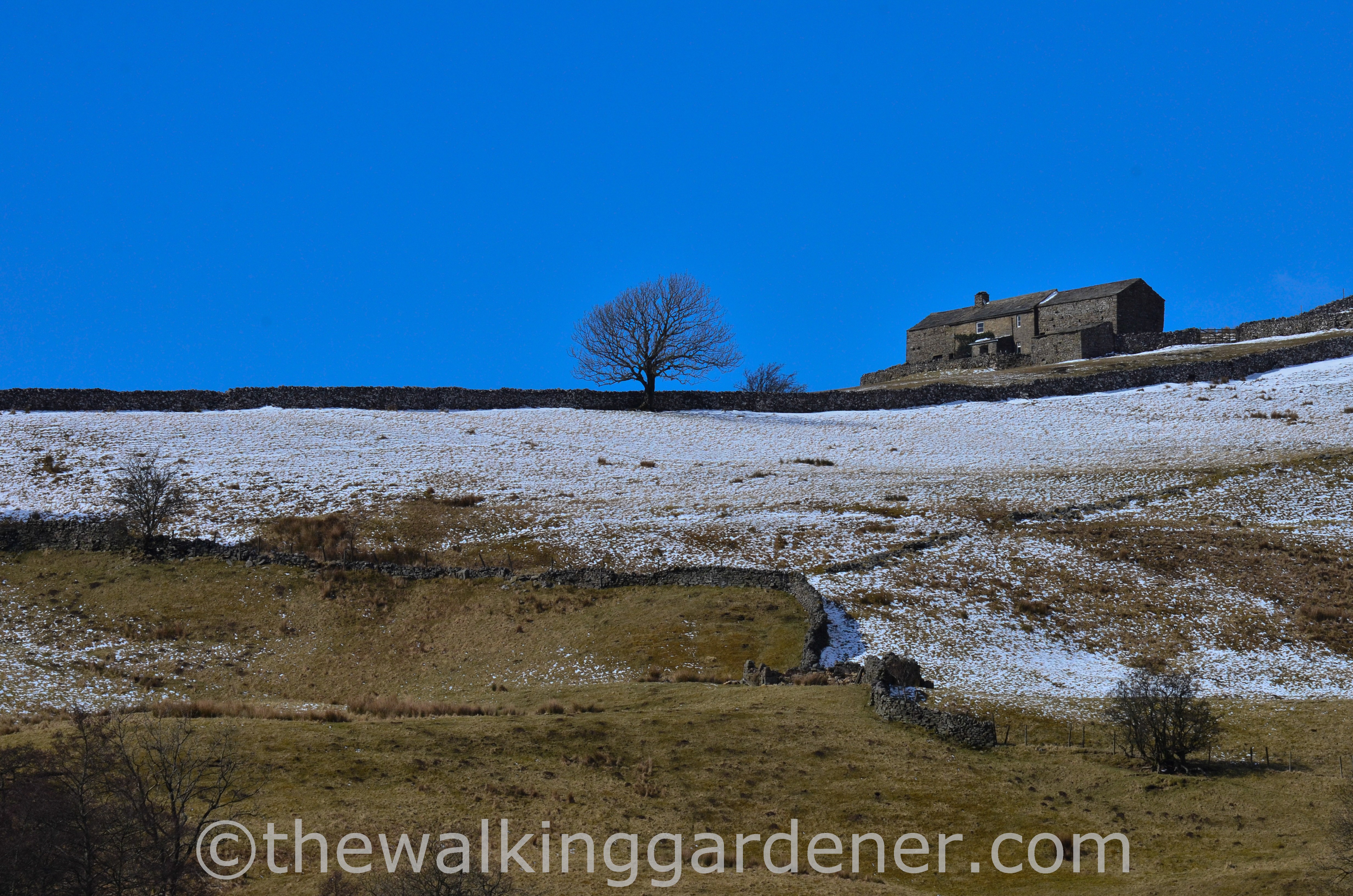 Coast to Coast Keld to Reeth (4)