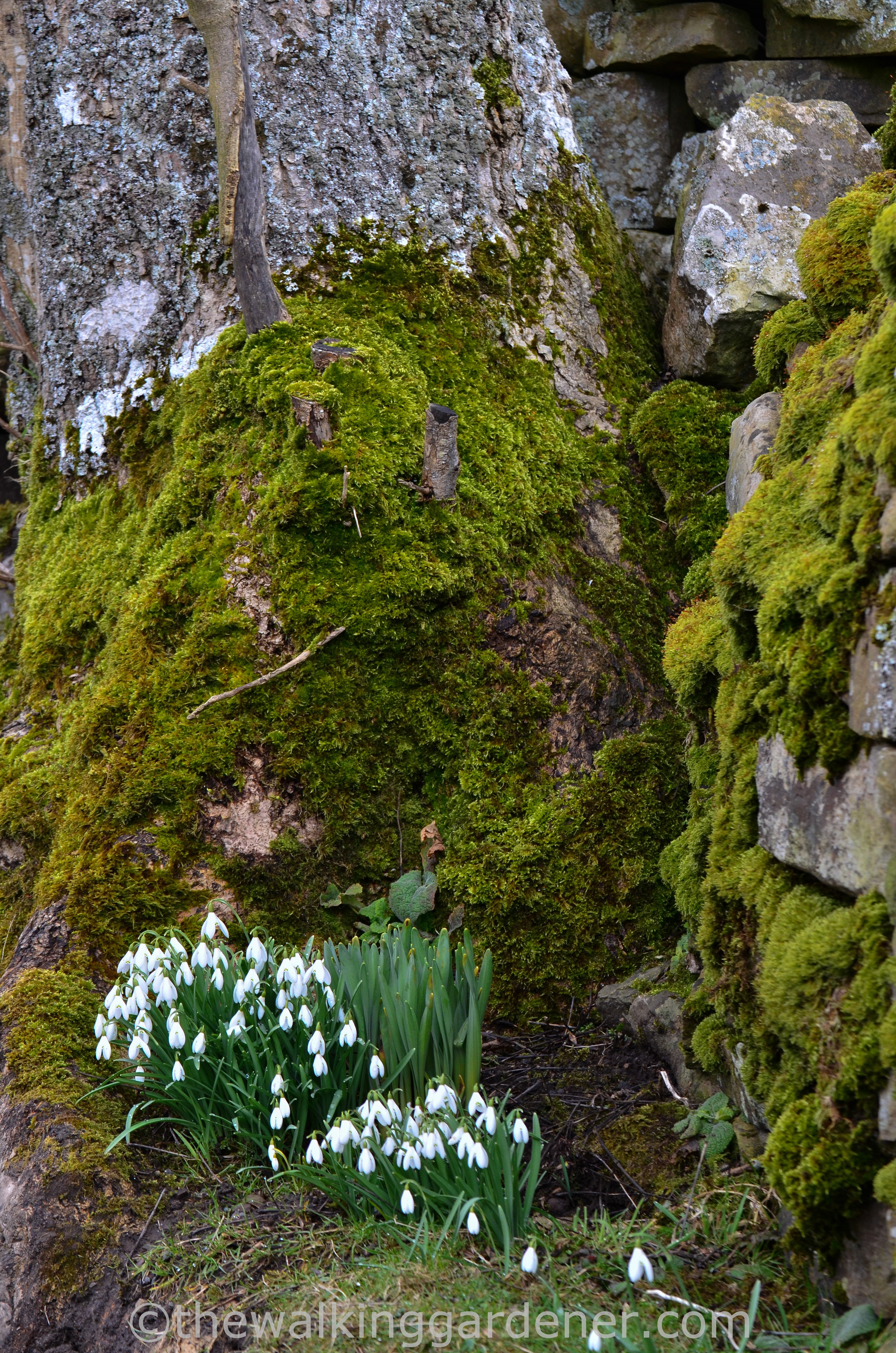 Coast to Coast Keld to Reeth (5)