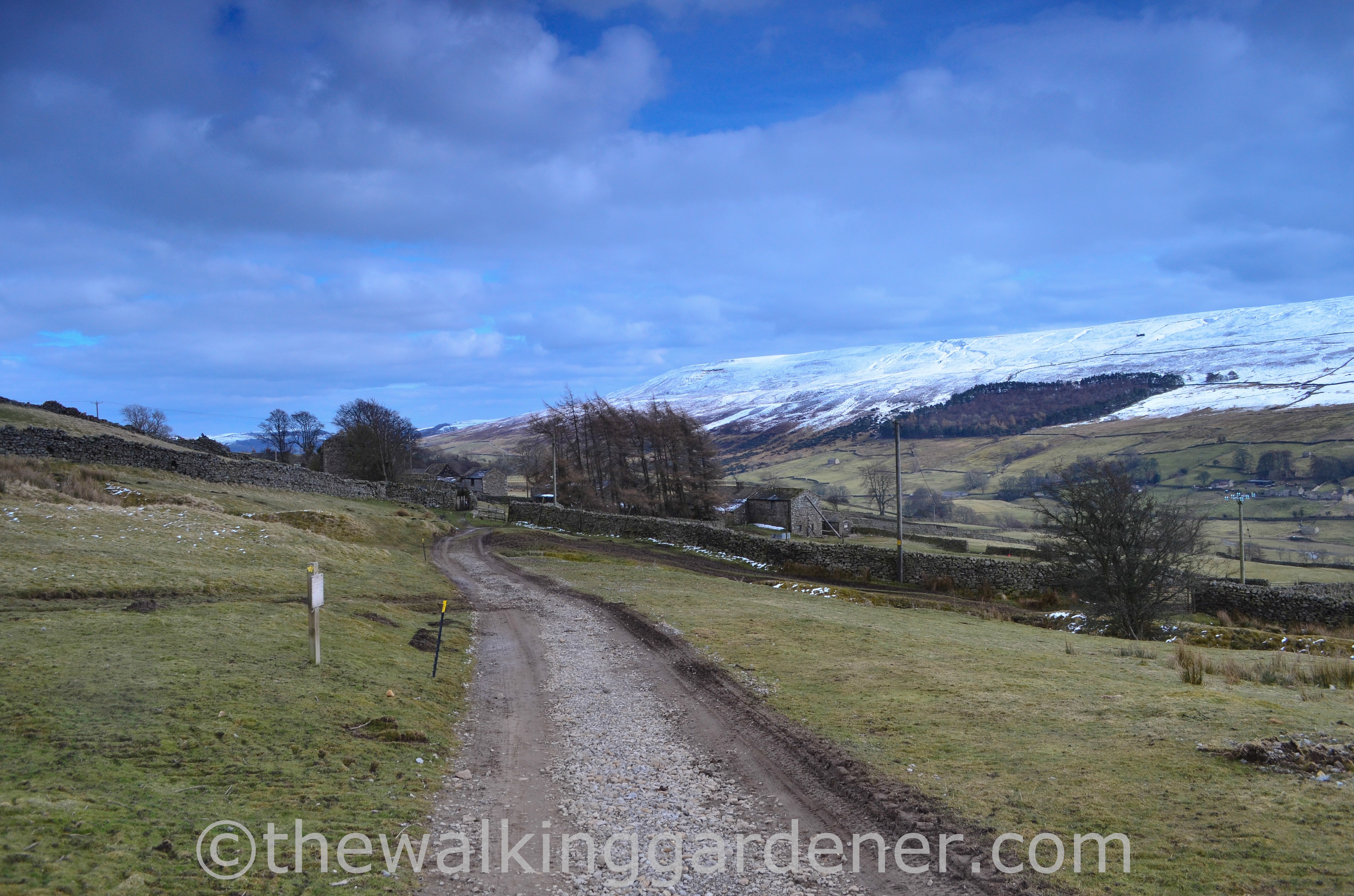 Coast to Coast Keld to Reeth (9)
