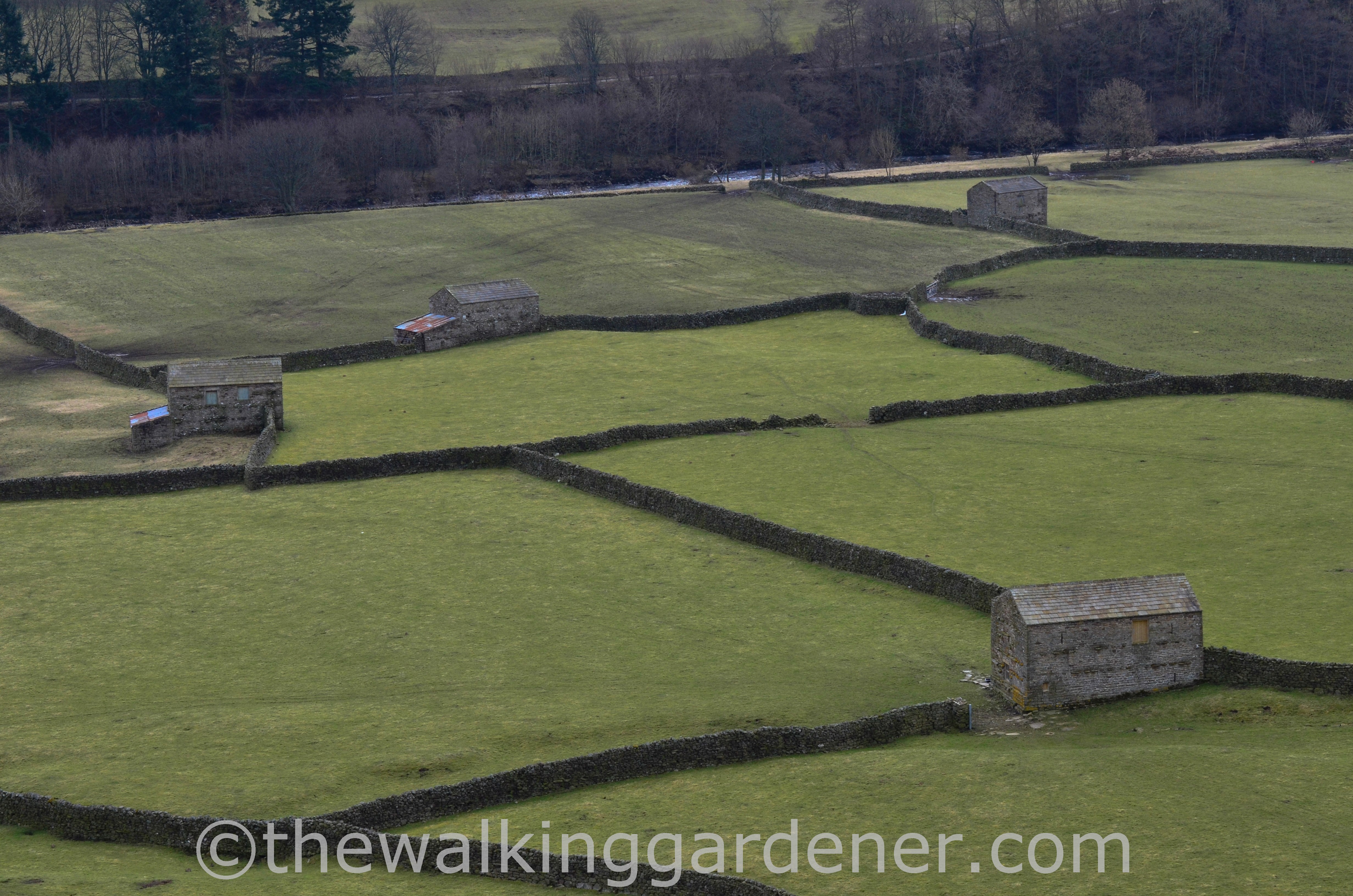 Swaledale-04