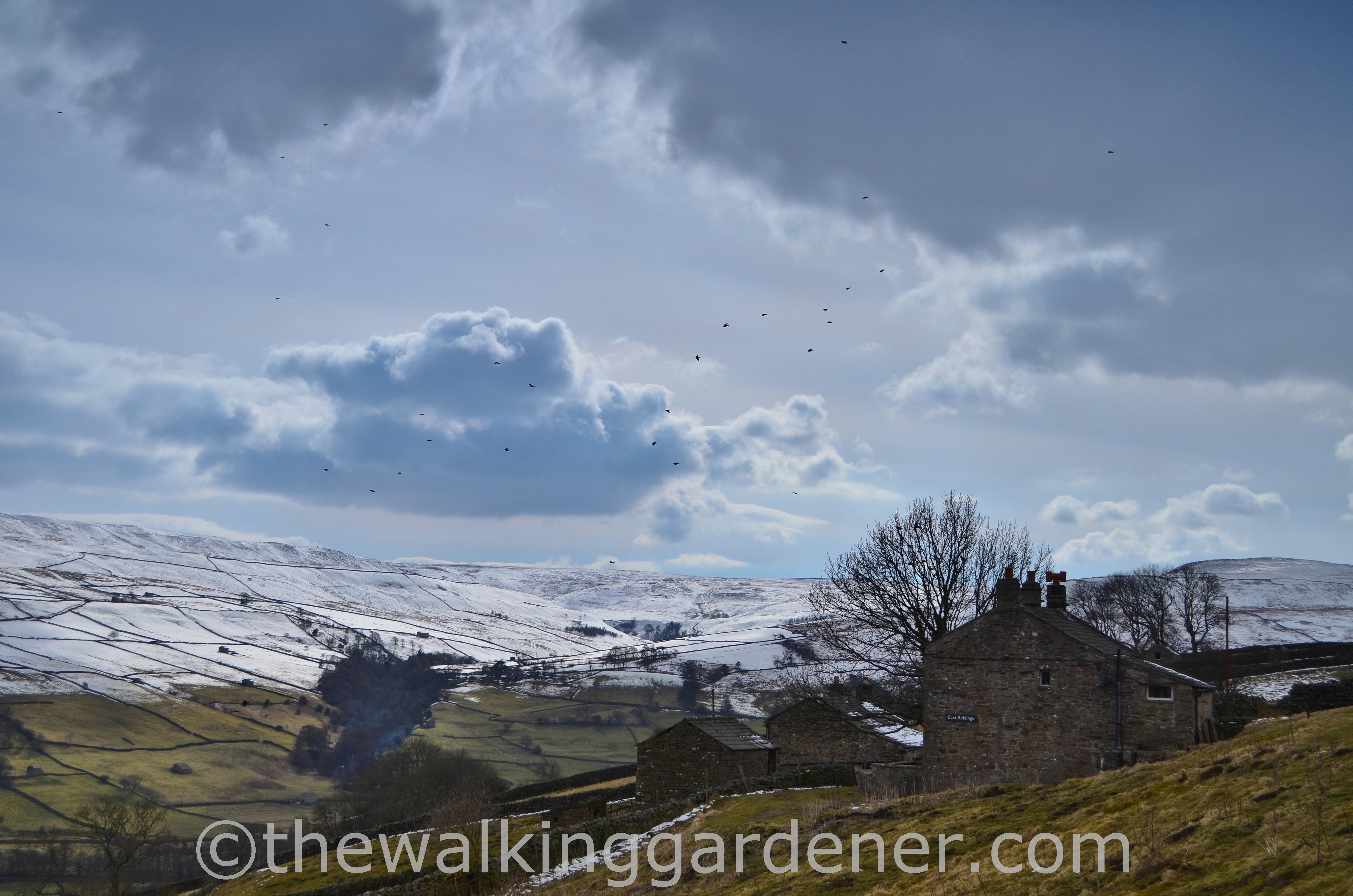 Swaledale-05