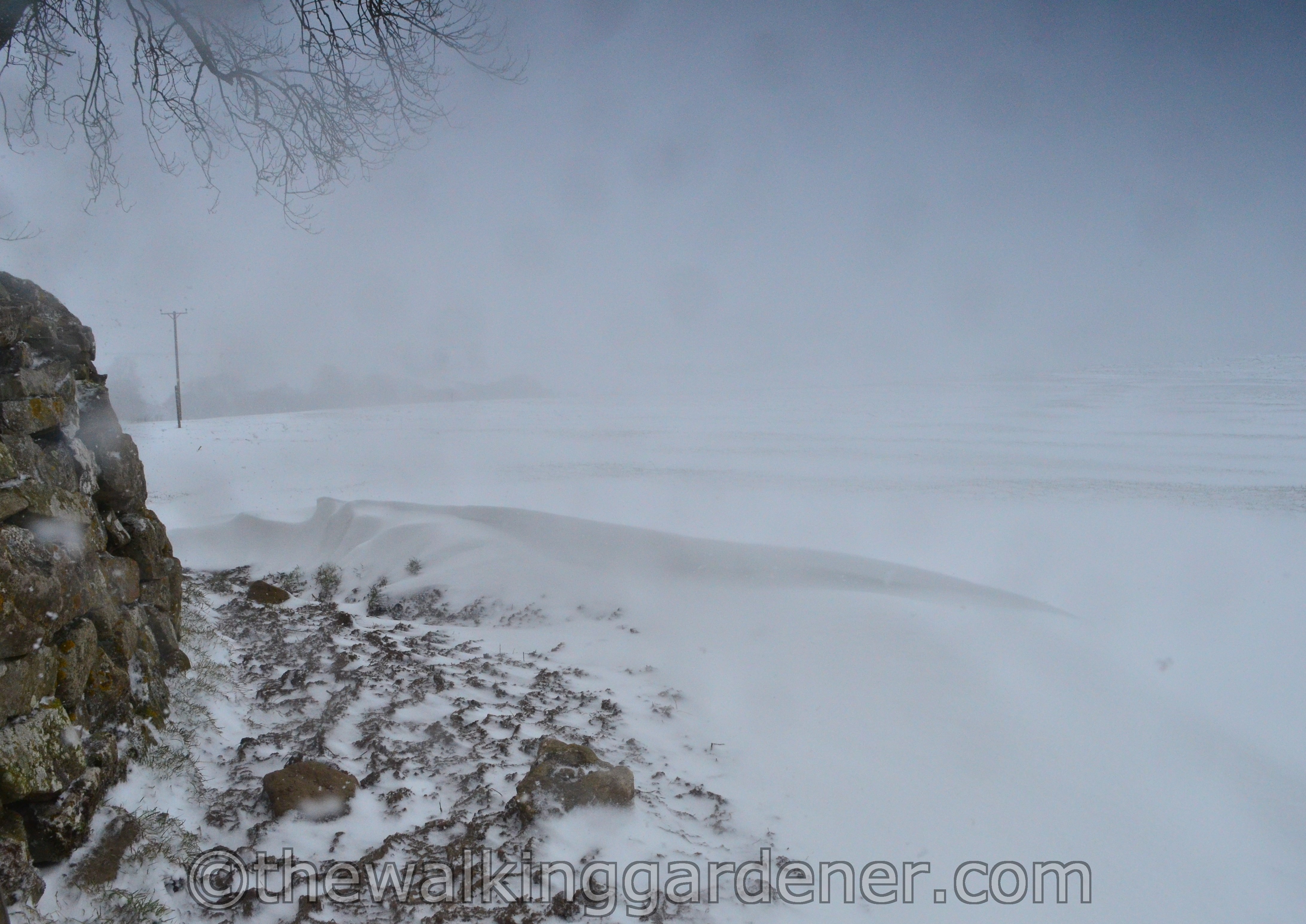 Coast to Coast Day 8 Reeth to Richmond (10)