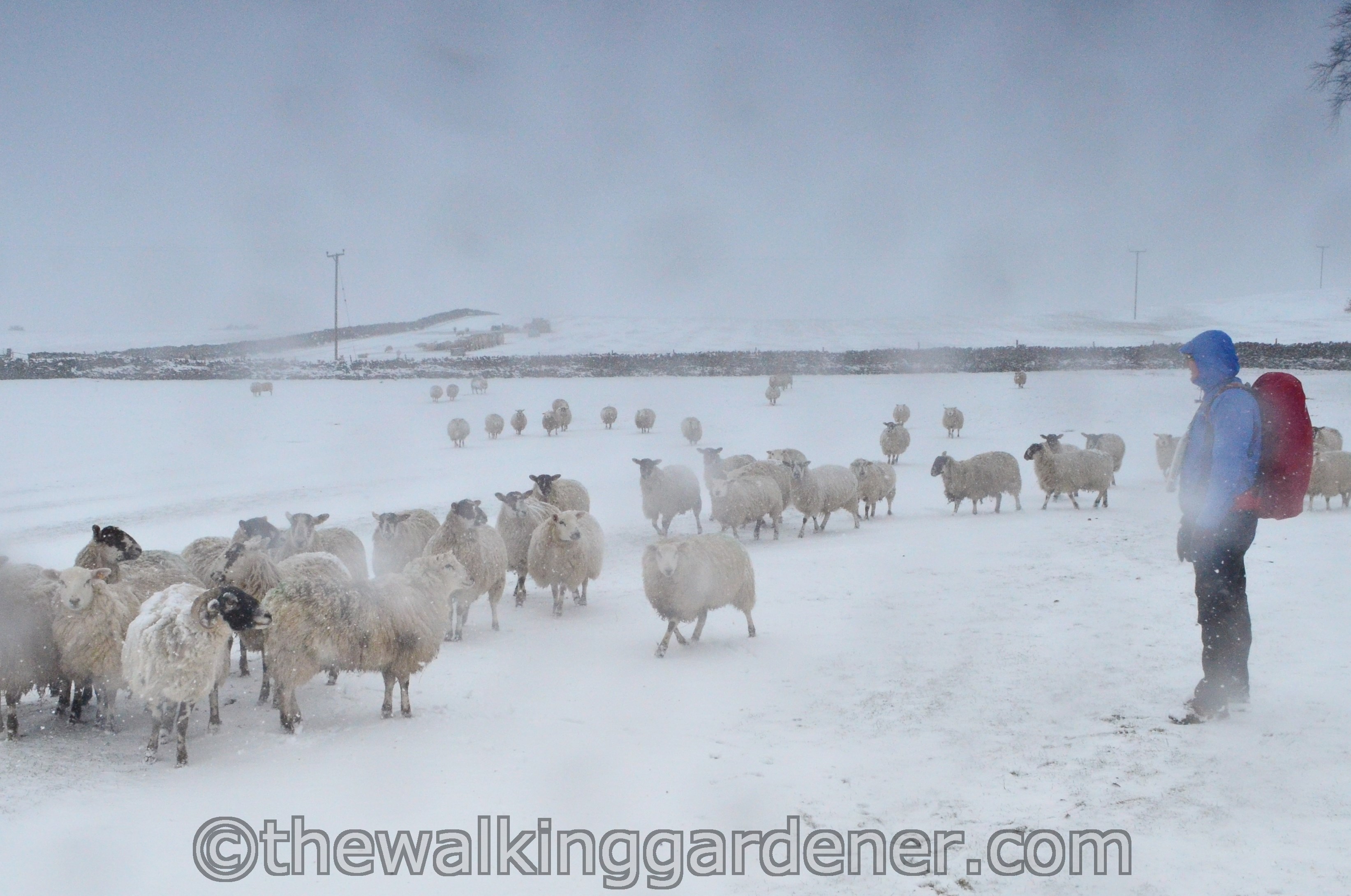 Coast to Coast Day 8 Reeth to Richmond (11)