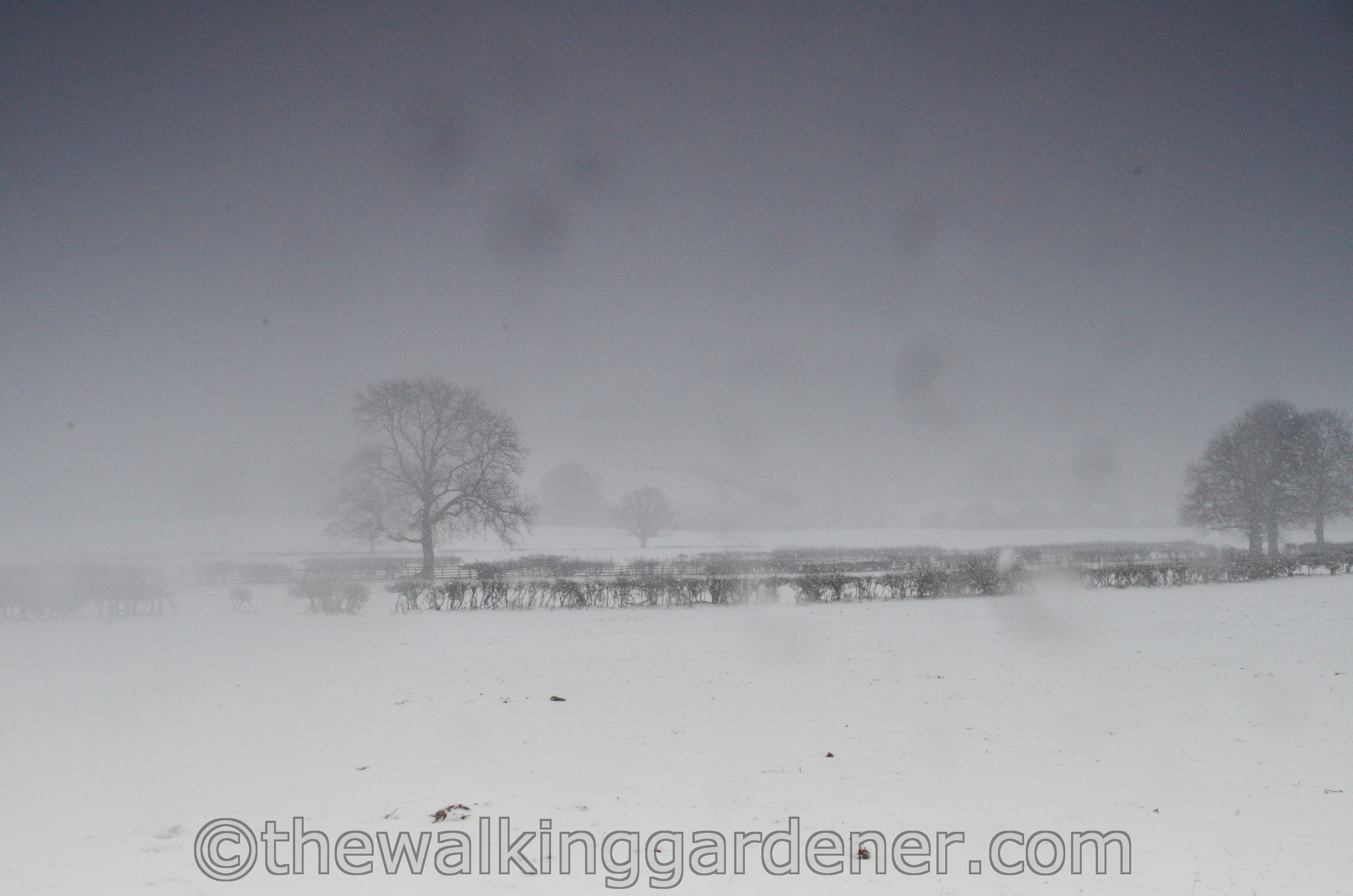 Coast to Coast Day 8 Reeth to Richmond (15)