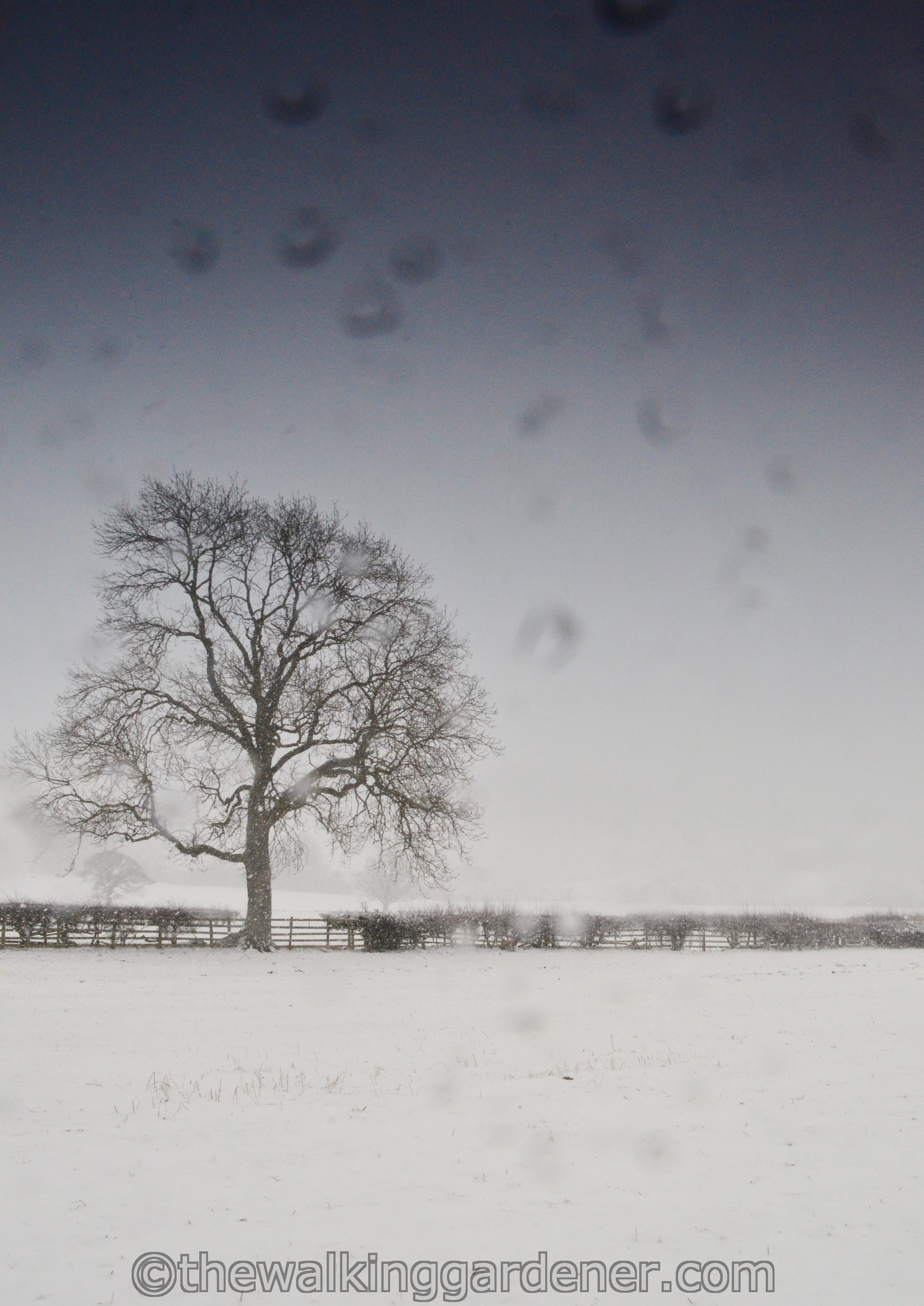Coast to Coast Day 8 Reeth to Richmond (16)