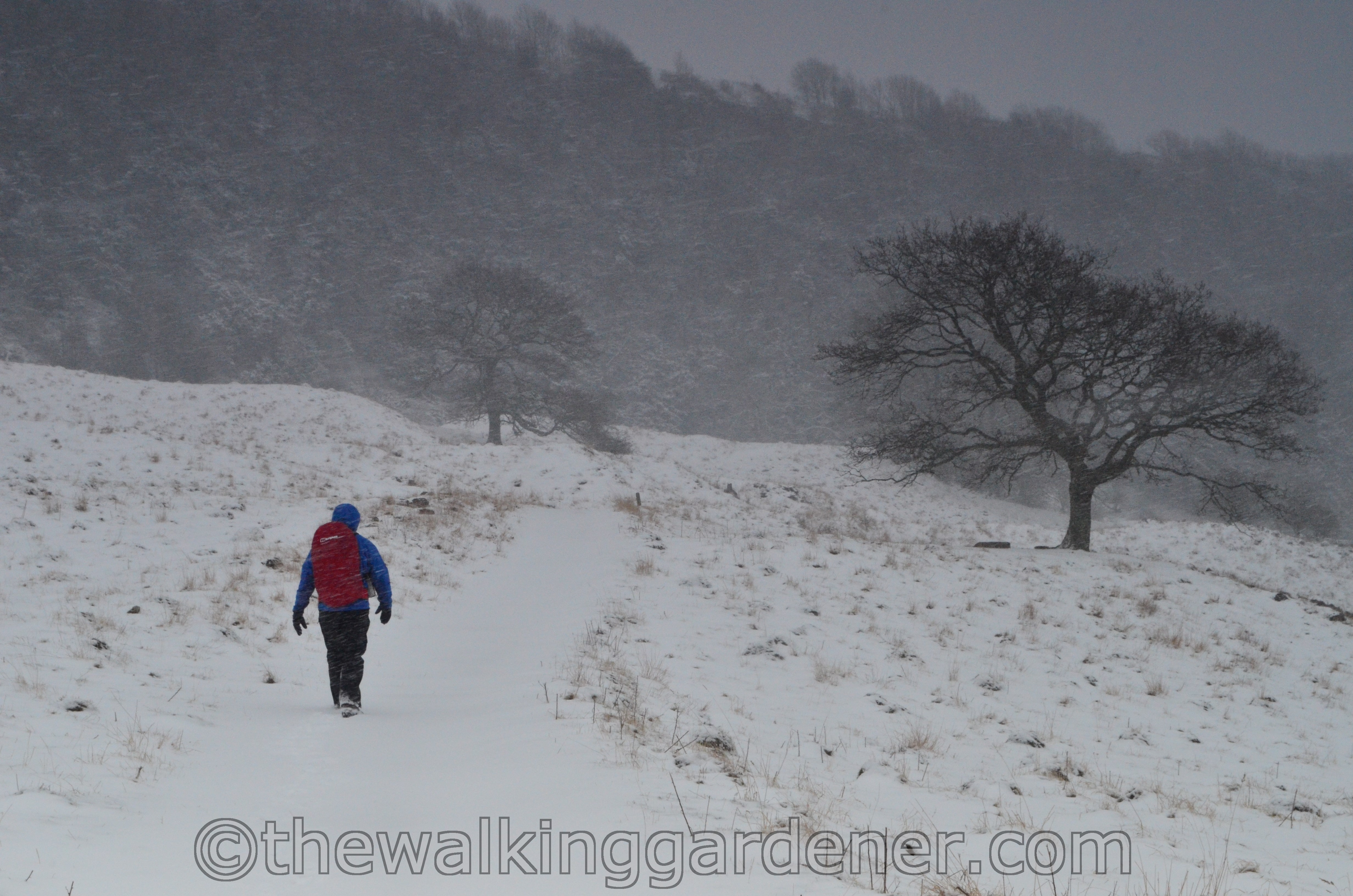 Coast to Coast Day 8 Reeth to Richmond (19)