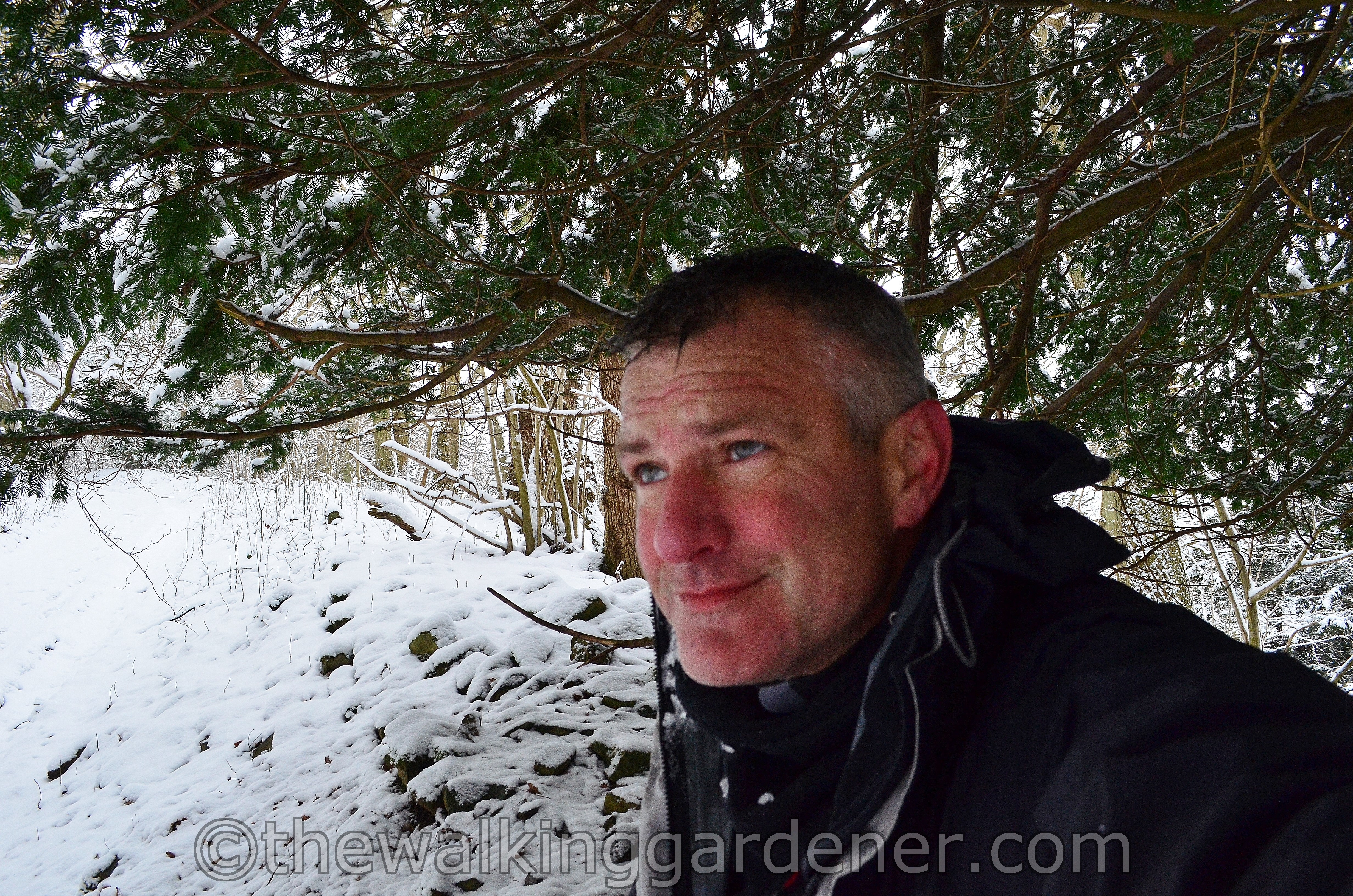 Coast to Coast Day 8 Reeth to Richmond (21)