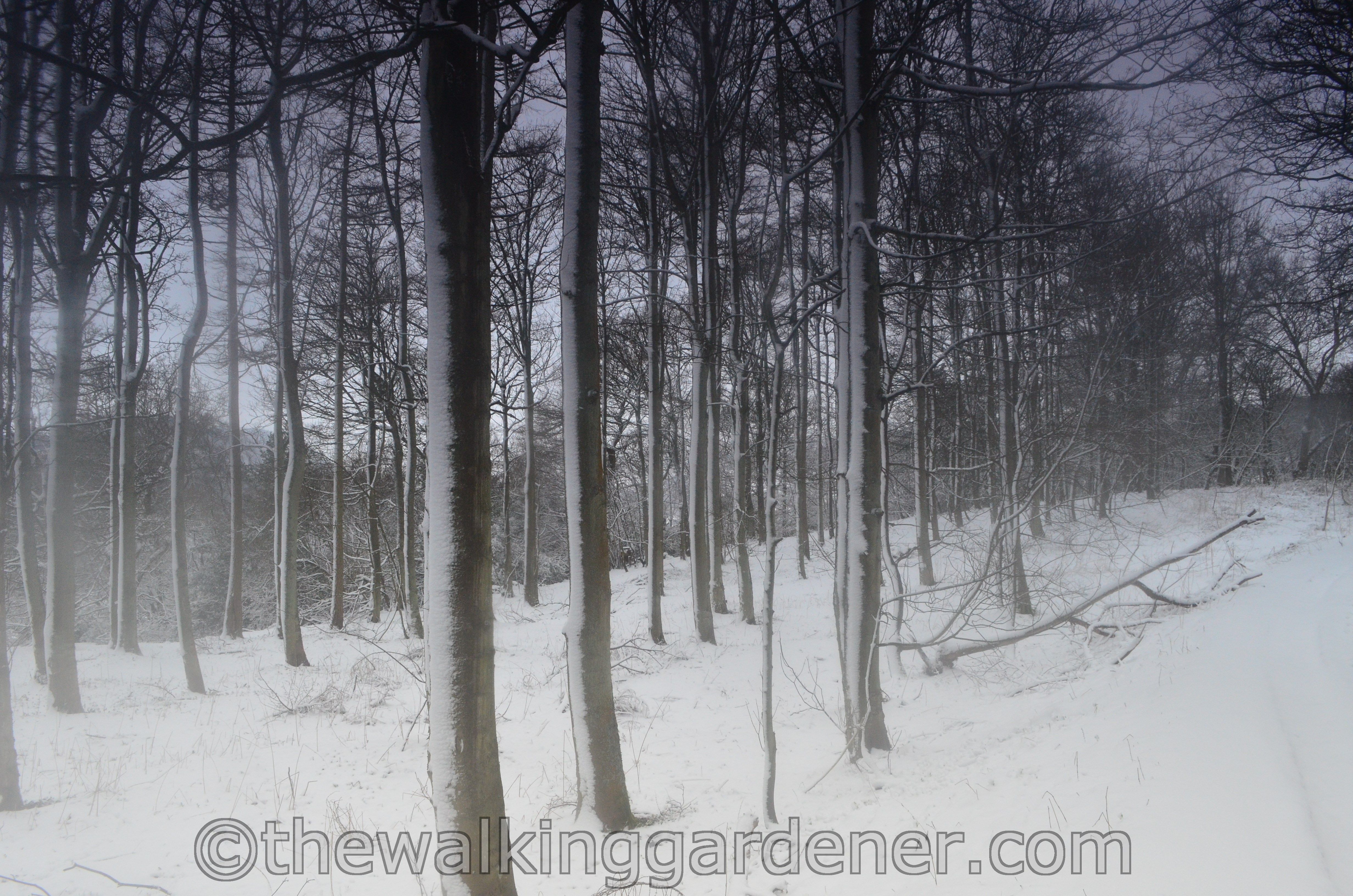 Coast to Coast Day 8 Reeth to Richmond (22)