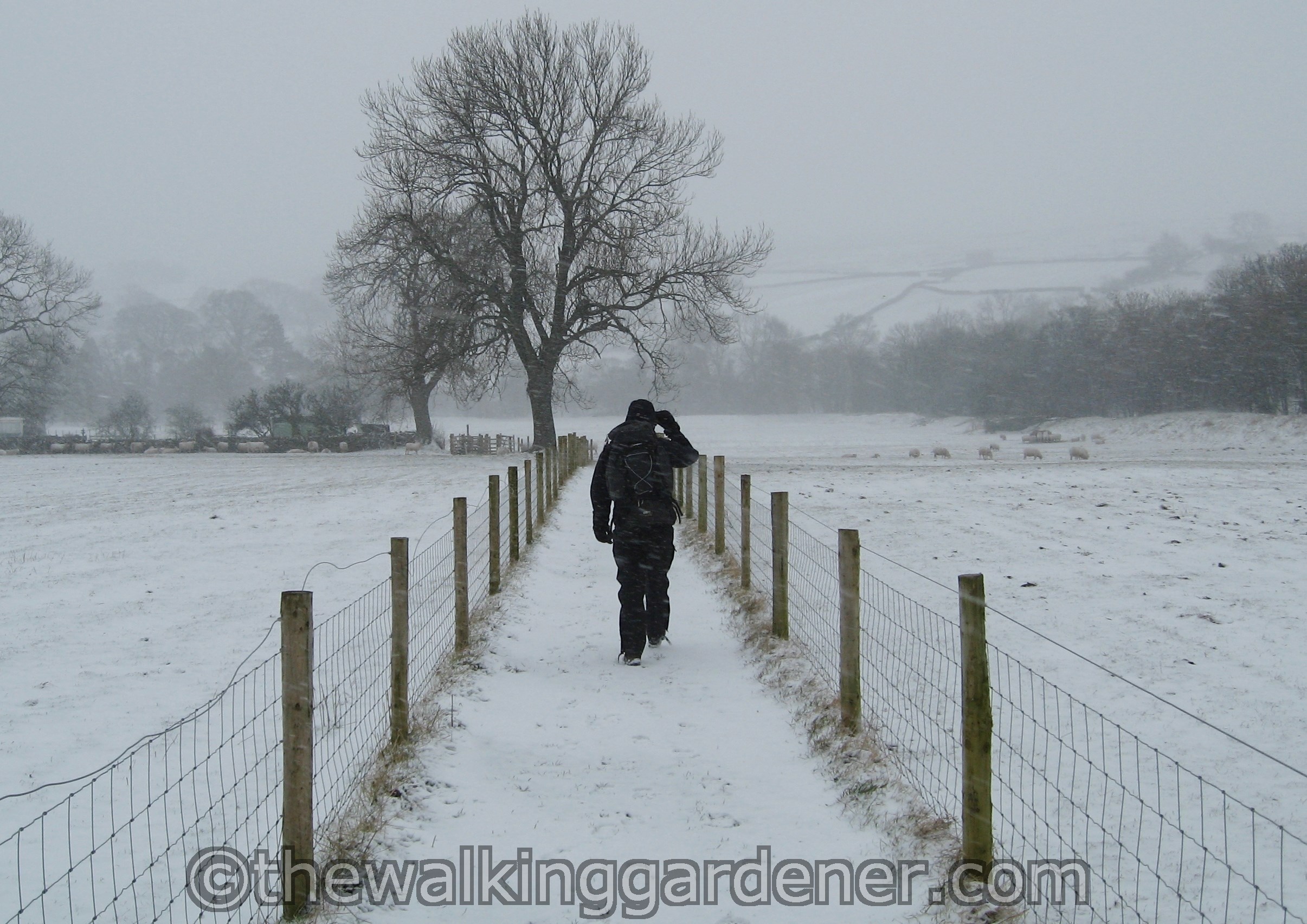 Coast to Coast Day 8 Reeth to Richmond (25)