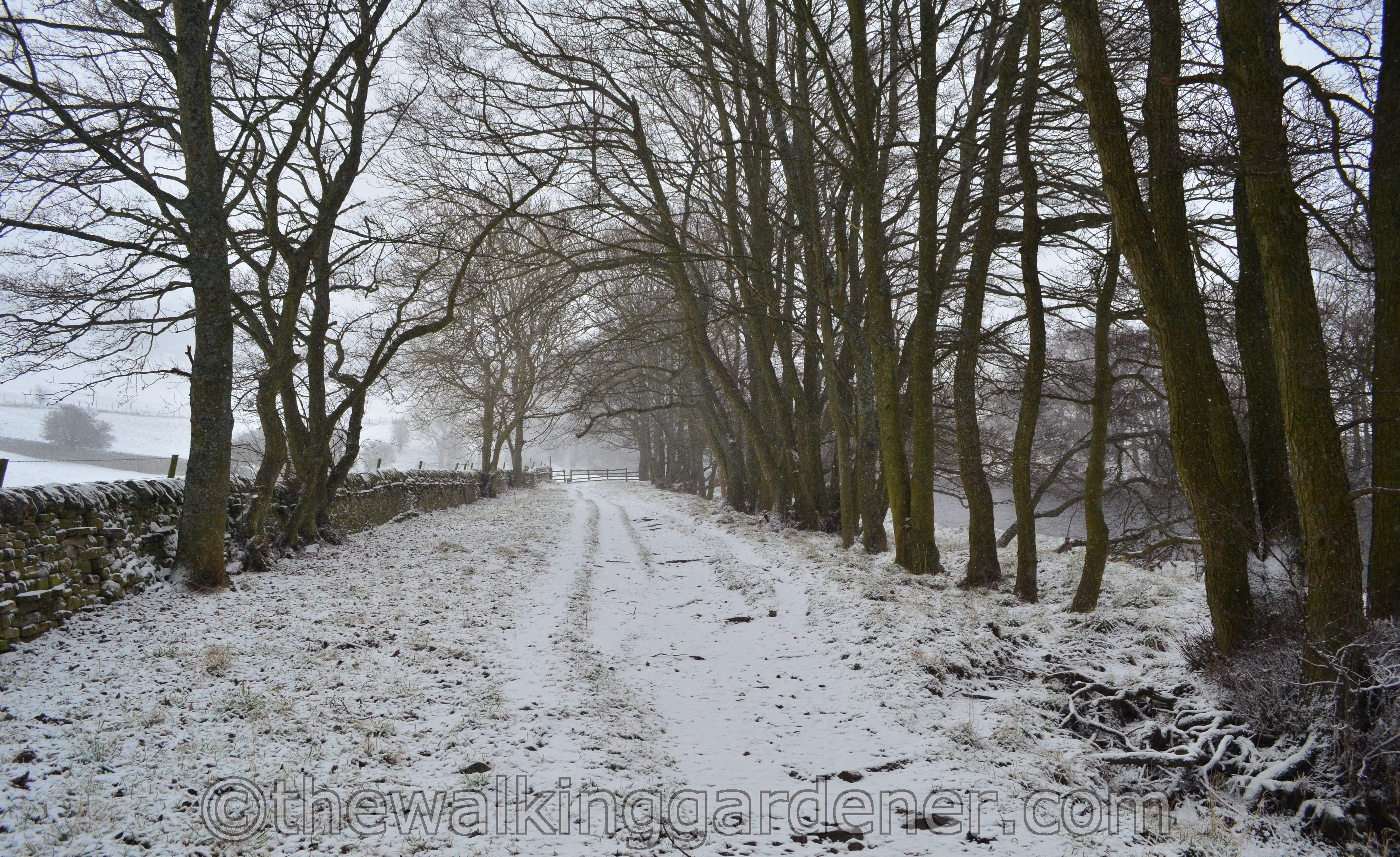 Coast to Coast Day 8 Reeth to Richmond (3)