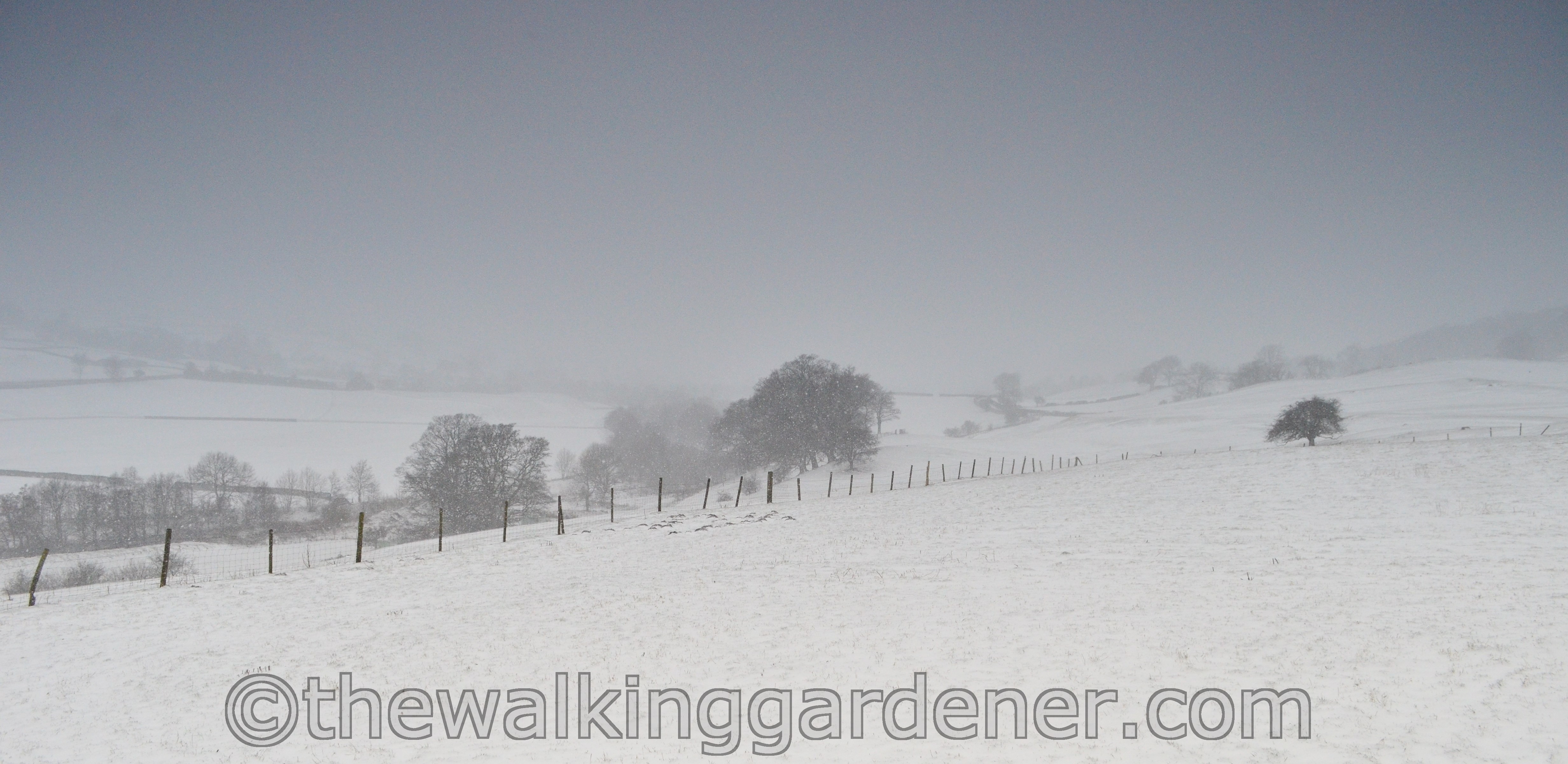 Coast to Coast Day 8 Reeth to Richmond (5)