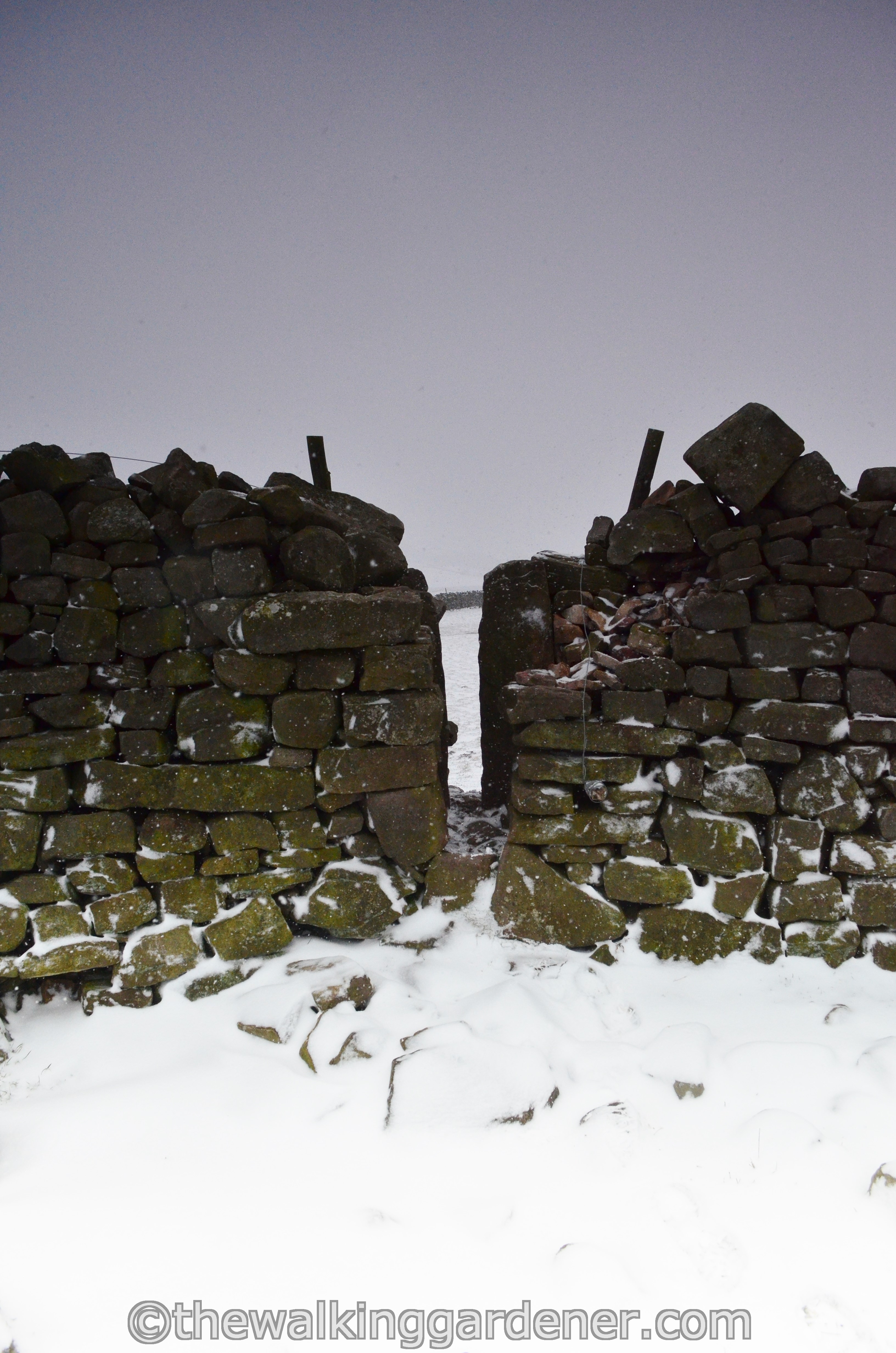 Coast to Coast Day 8 Reeth to Richmond (6)