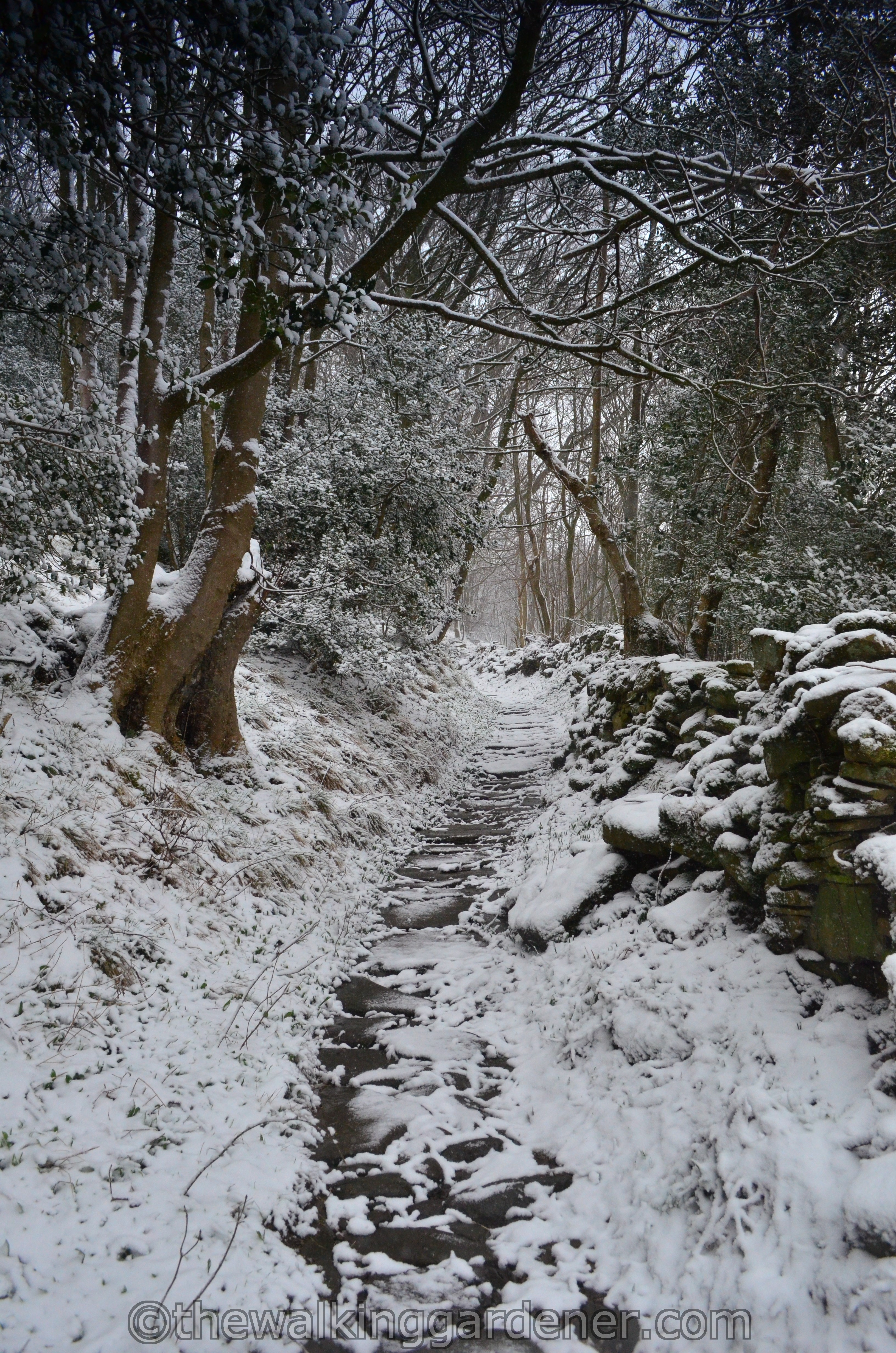Coast to Coast Day 8 Reeth to Richmond (8)