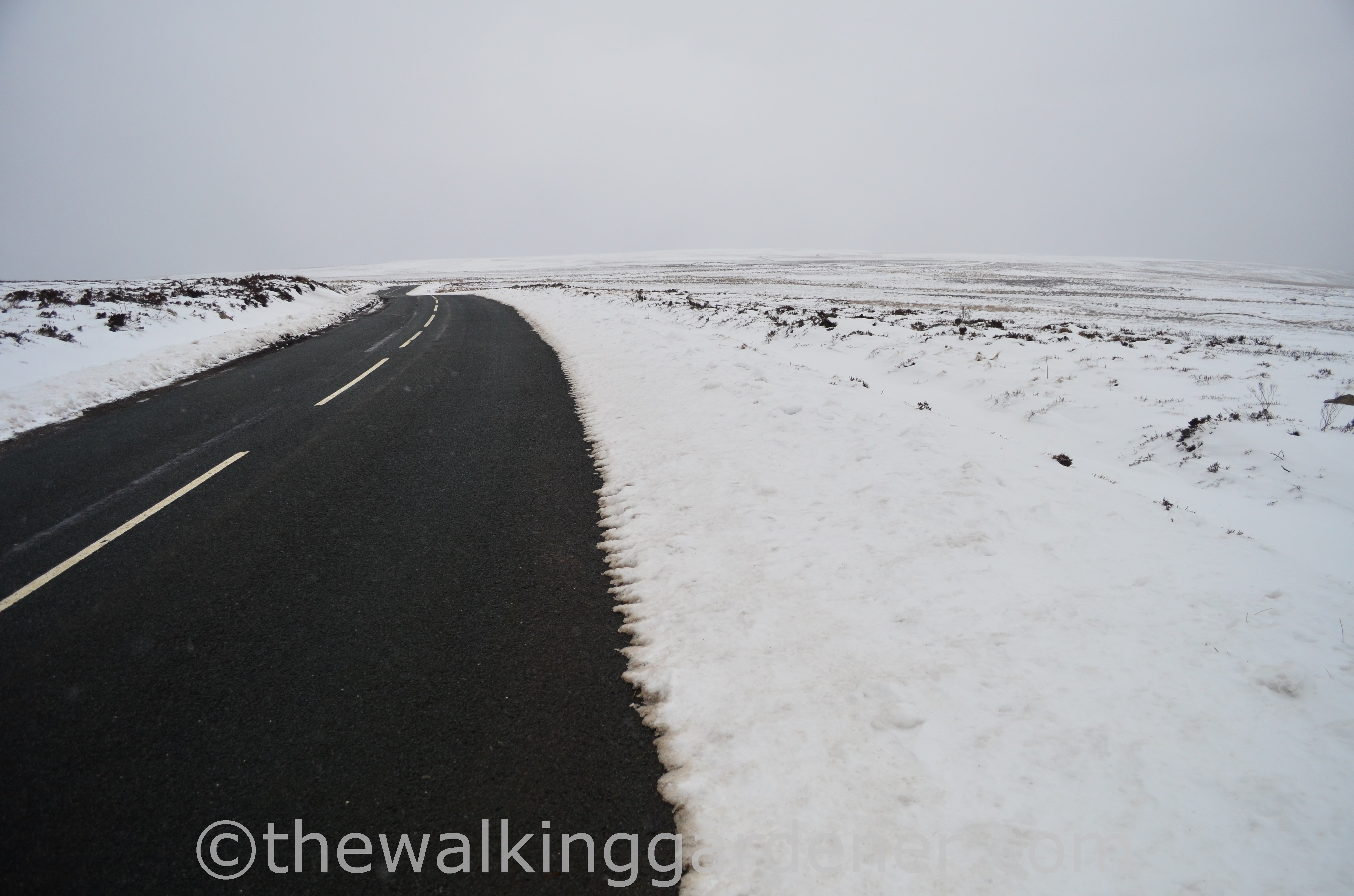 Coast to Coast Day 11 Blakey Ridge to Egton Bridge (1)