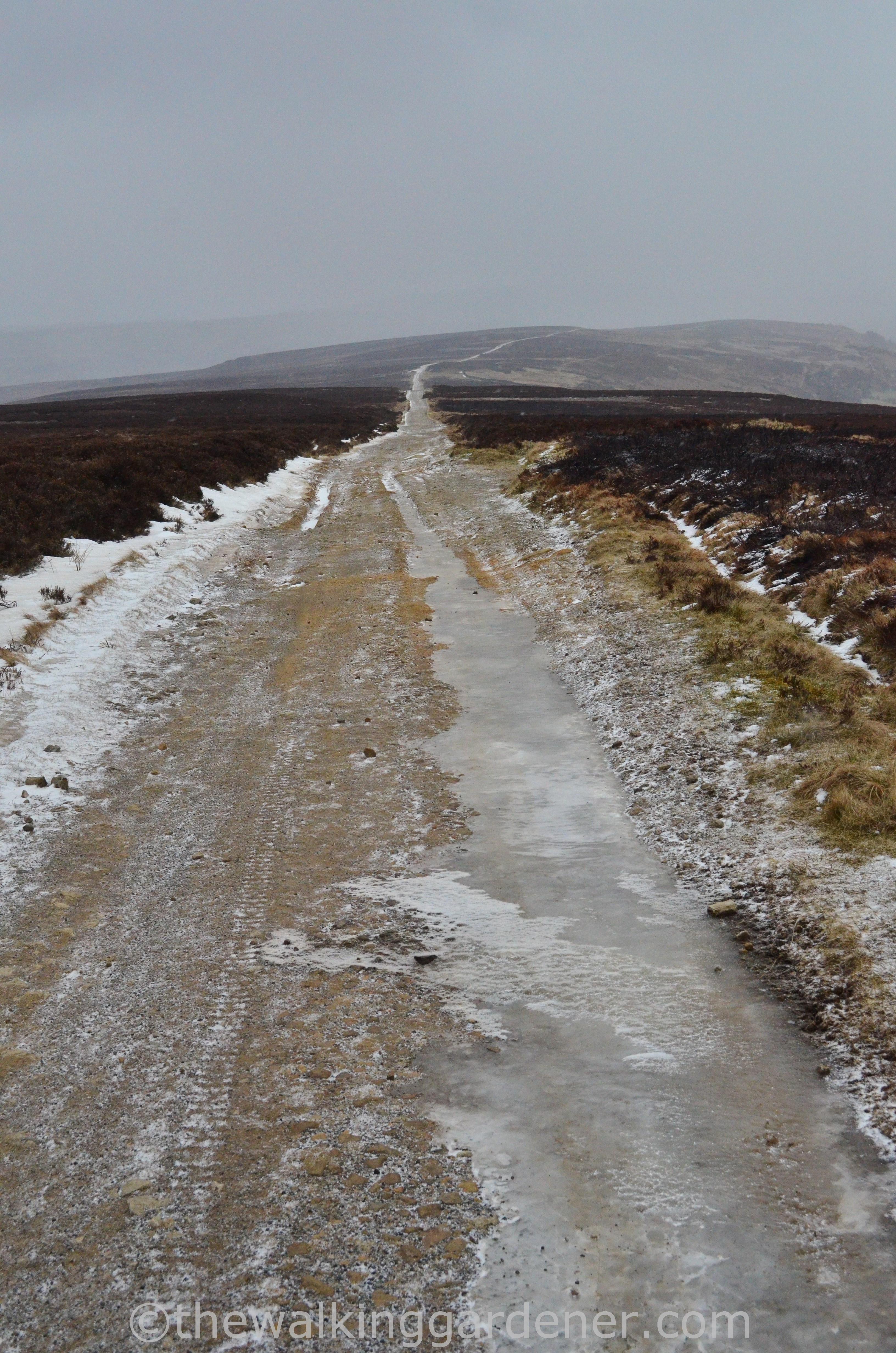 Coast to Coast Day 11 Blakey Ridge to Egton Bridge (10)