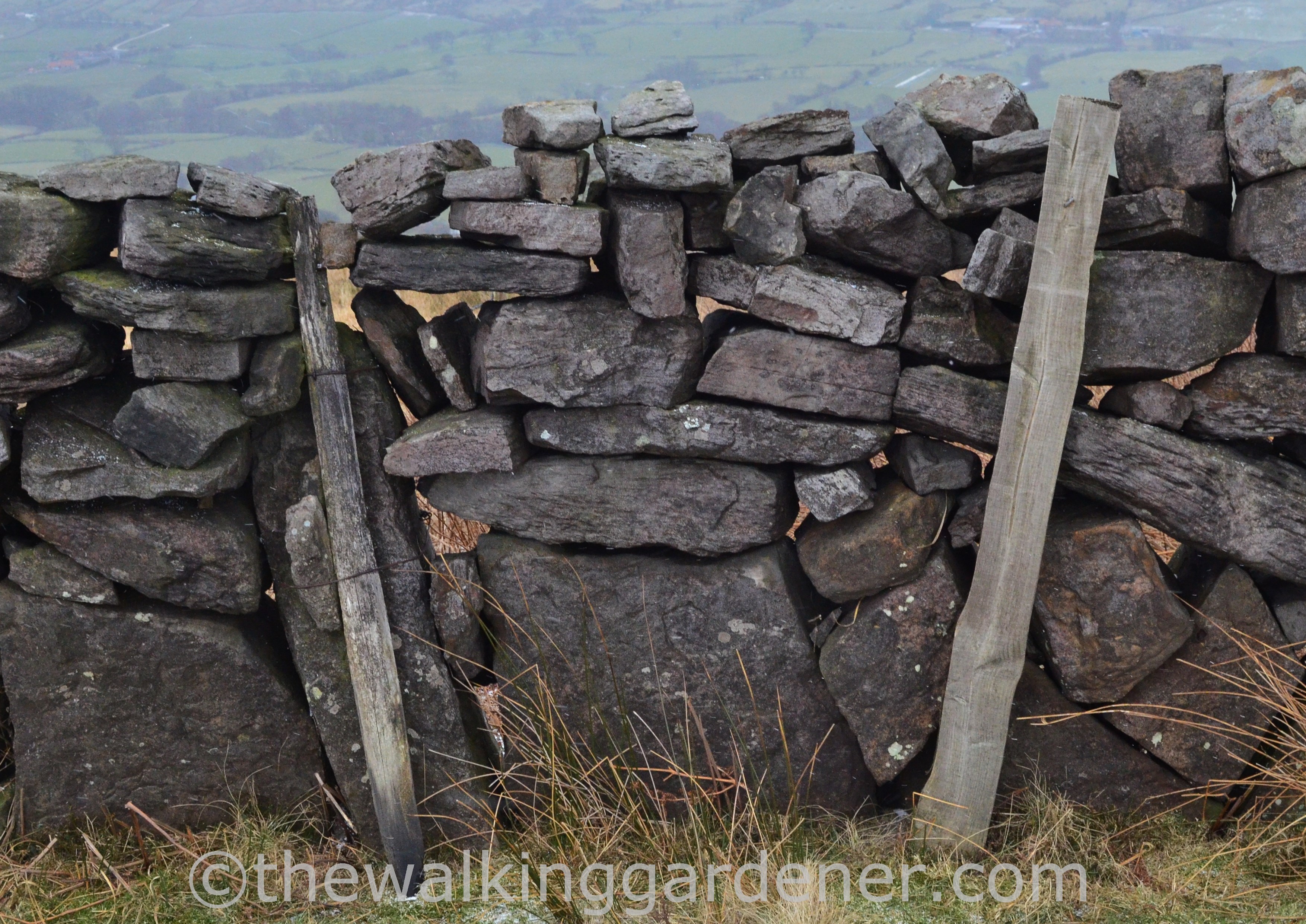 Coast to Coast Day 11 Blakey Ridge to Egton Bridge (11)