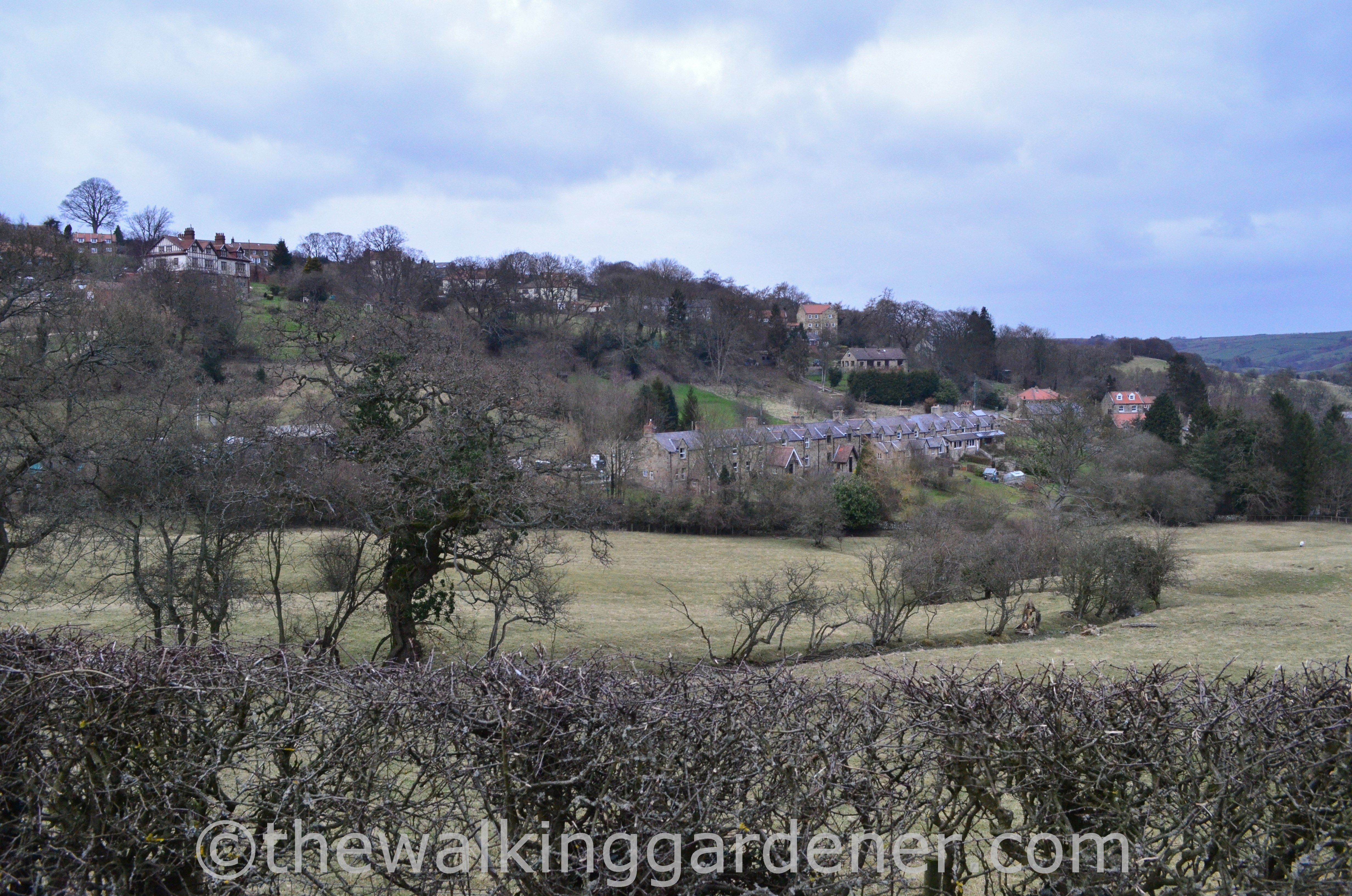 Coast to Coast Day 11 Blakey Ridge to Egton Bridge (13)