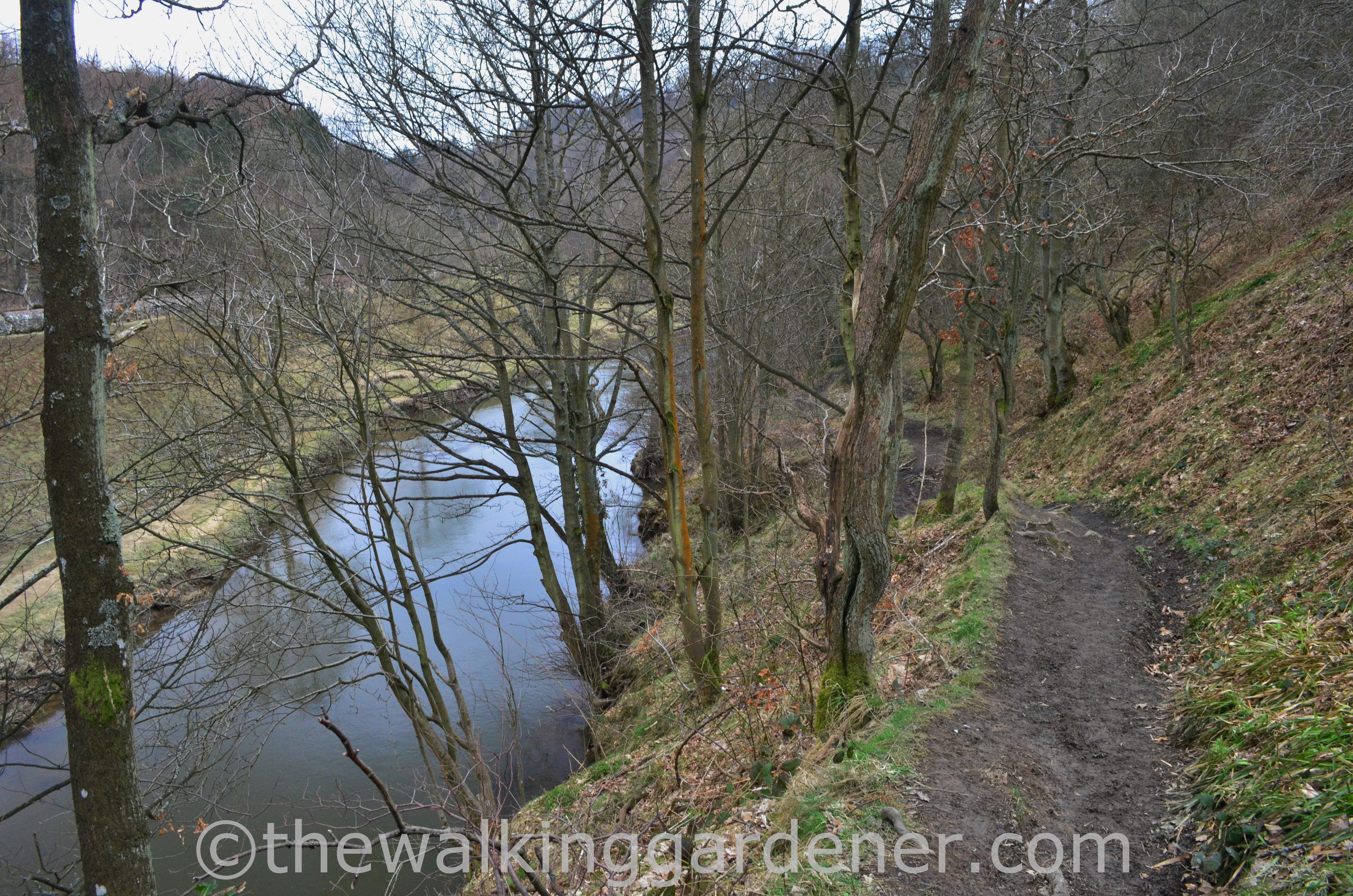 Coast to Coast Day 11 Blakey Ridge to Egton Bridge (14)